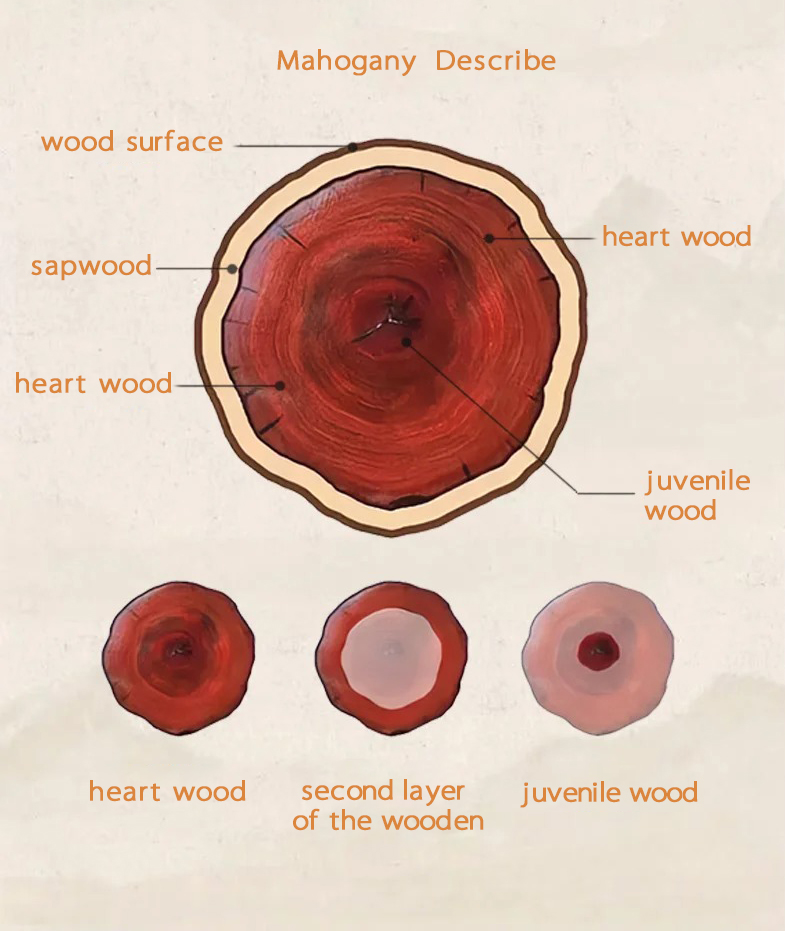 Mahogany Introduce