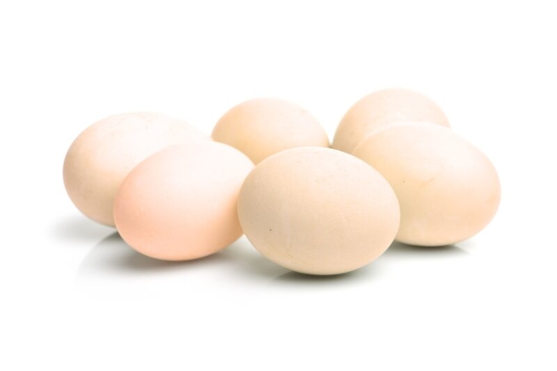 Everything you need to know about duck eggs