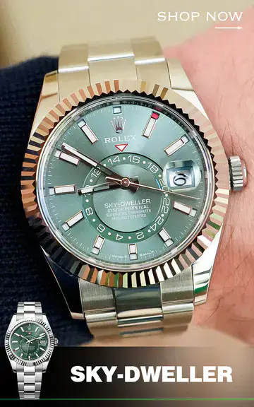 SKY-DWELLER