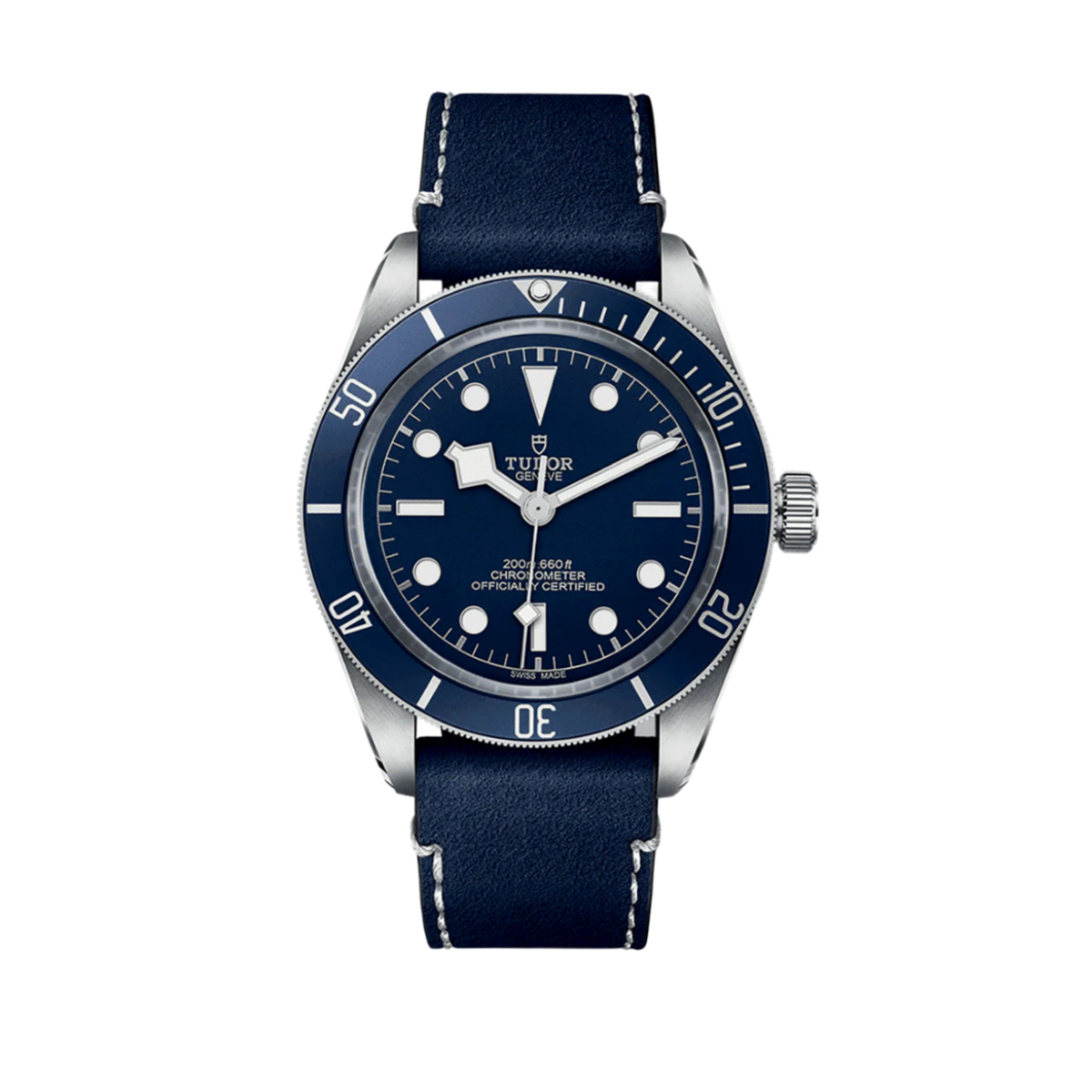 Tudor Black Bay