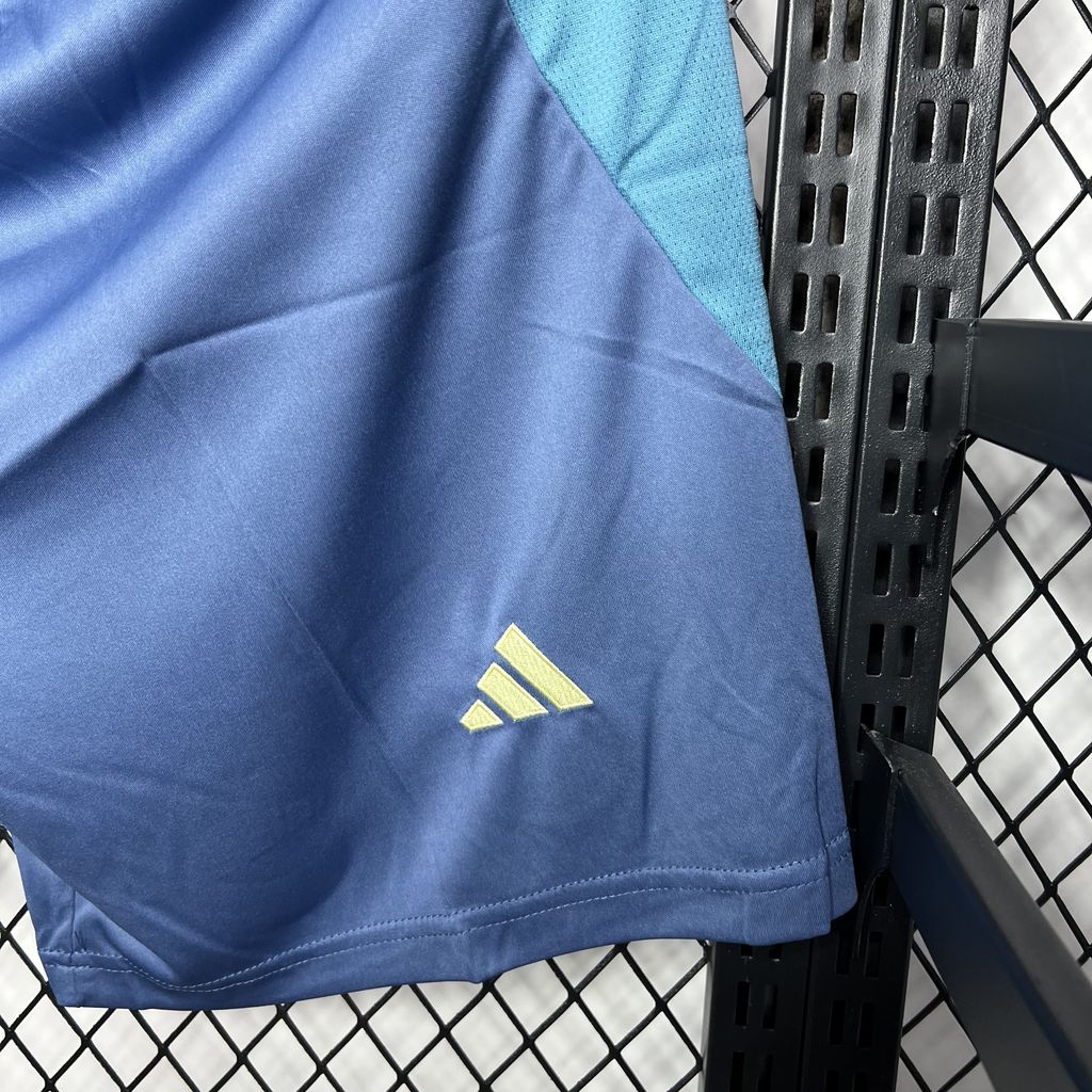 ManixJersey.com | Ajax 24-25 Away Shorts -Customize Name, Number and Patch | Worldwide Shipping