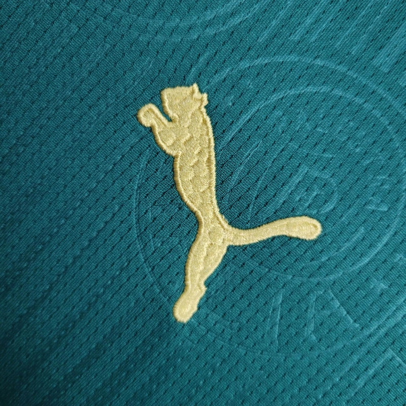 ManixJersey.com | Palmeiras 2024 Home Stadium Kids Kit -Customize Name, Number and Patch | Worldwide Shipping