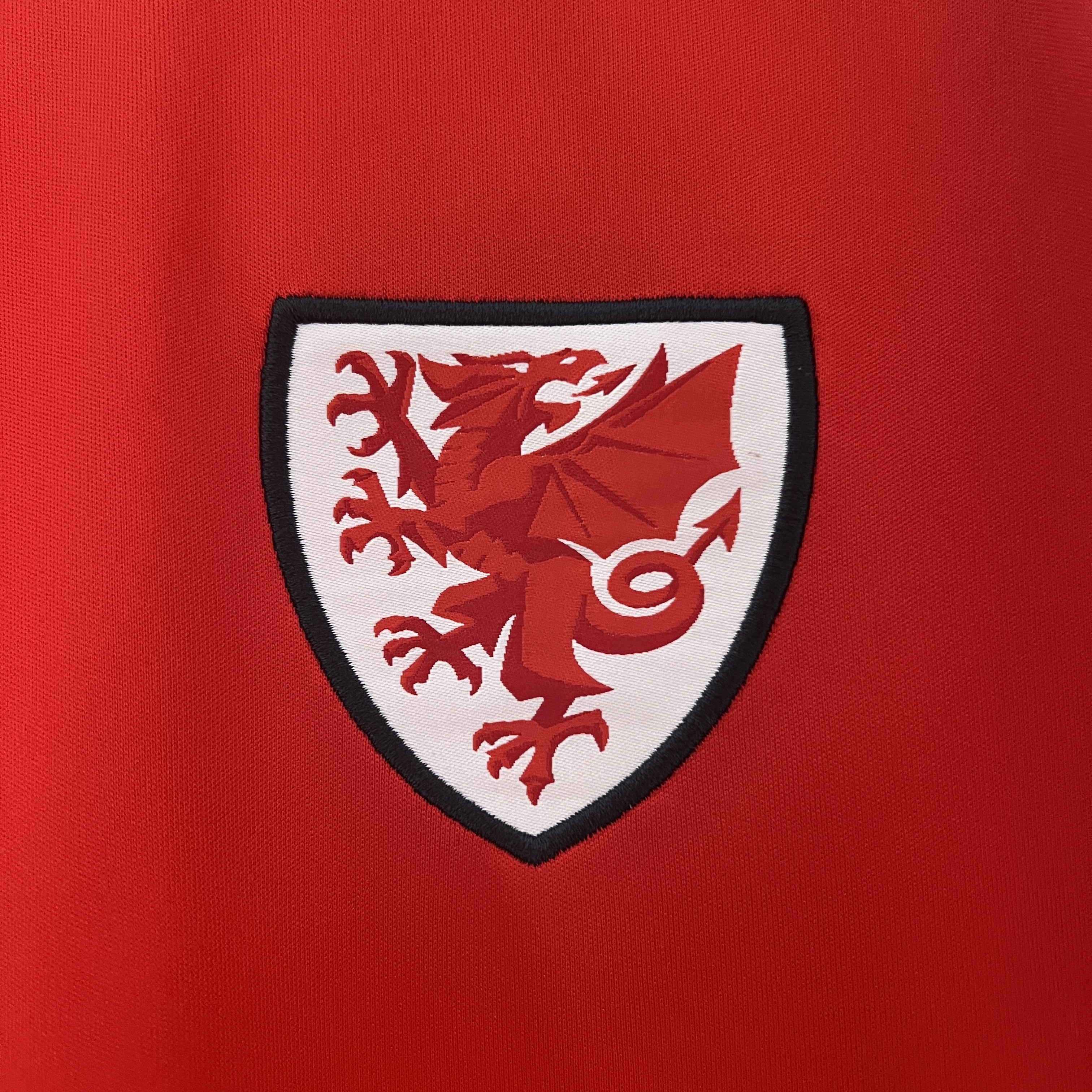 SIUjerseys-Wales 2024 Home Stadium Jersey - Fans Version