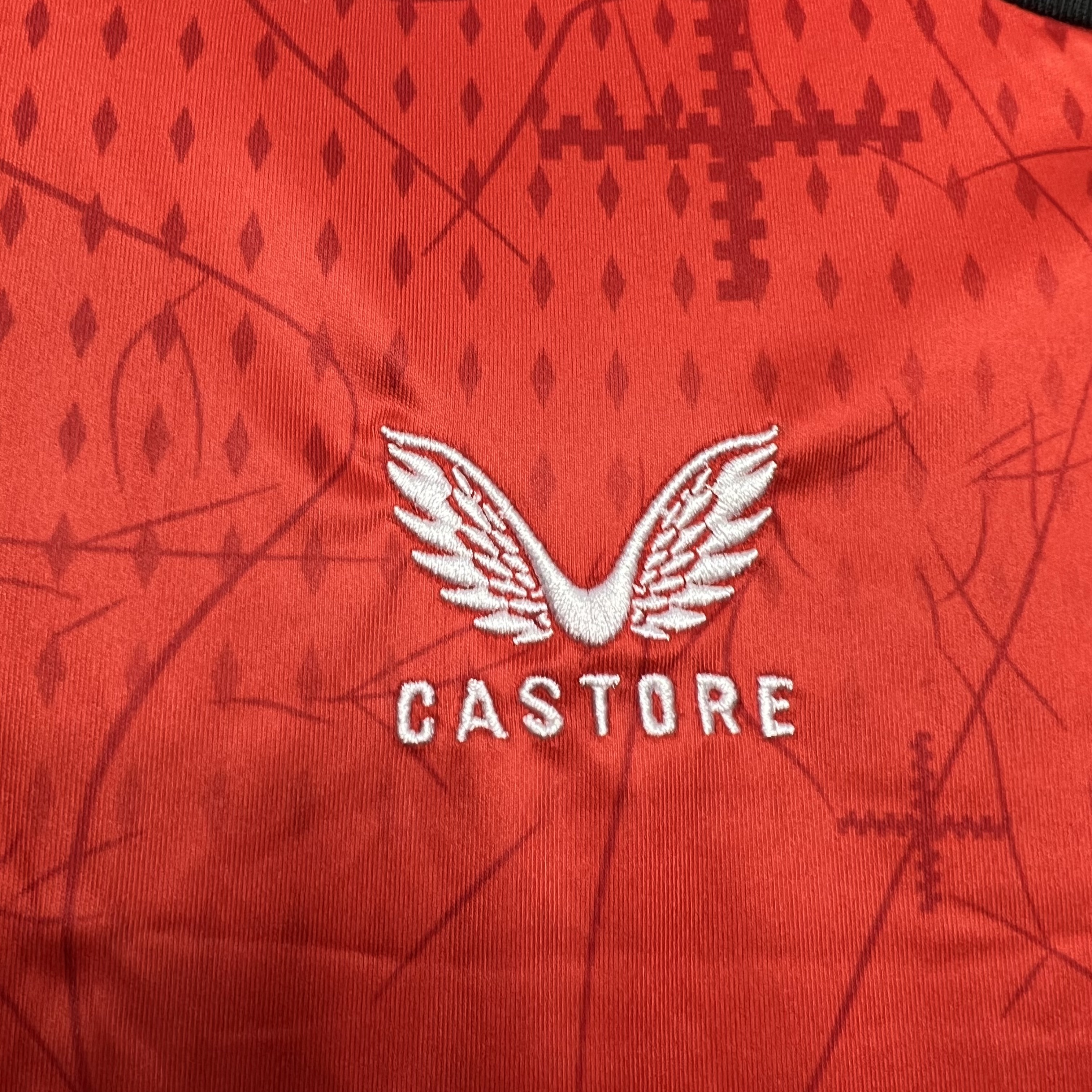 ManixJersey.com | Bayer 04 Leverkusen 24-25 Home Stadium Jersey - Fans Version -Customize Name, Number and Patch | Worldwide Shipping