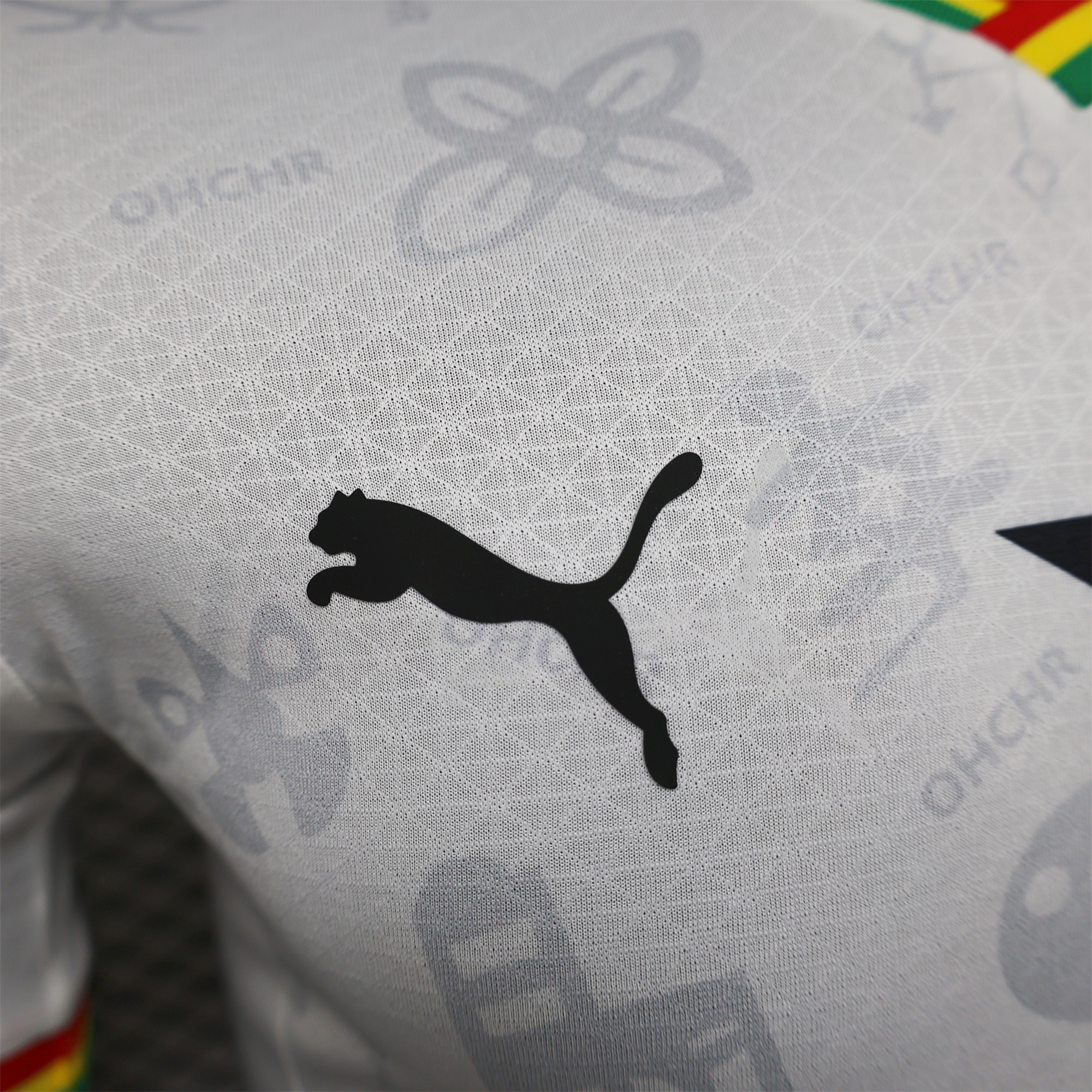 SIUjerseys-Ghana 2024-25 Home Jersey - Player Version