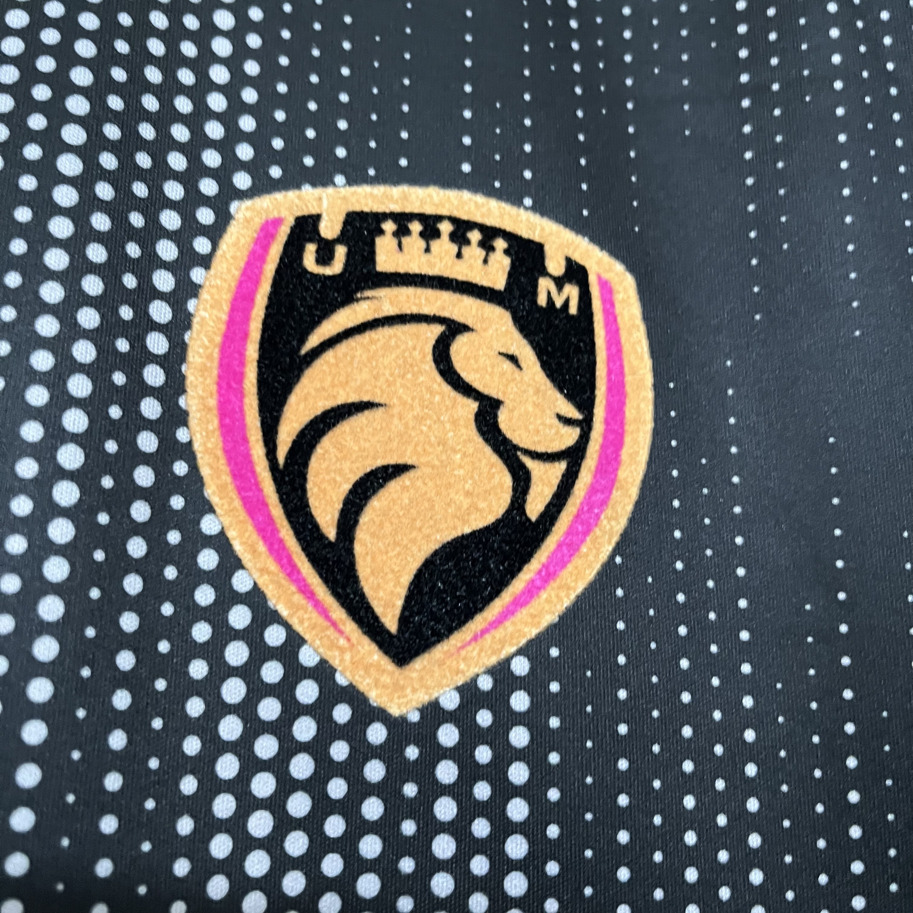 SIUjerseys-Ultimate Móstoles 2024 Home Stadium Jersey - Fans Version