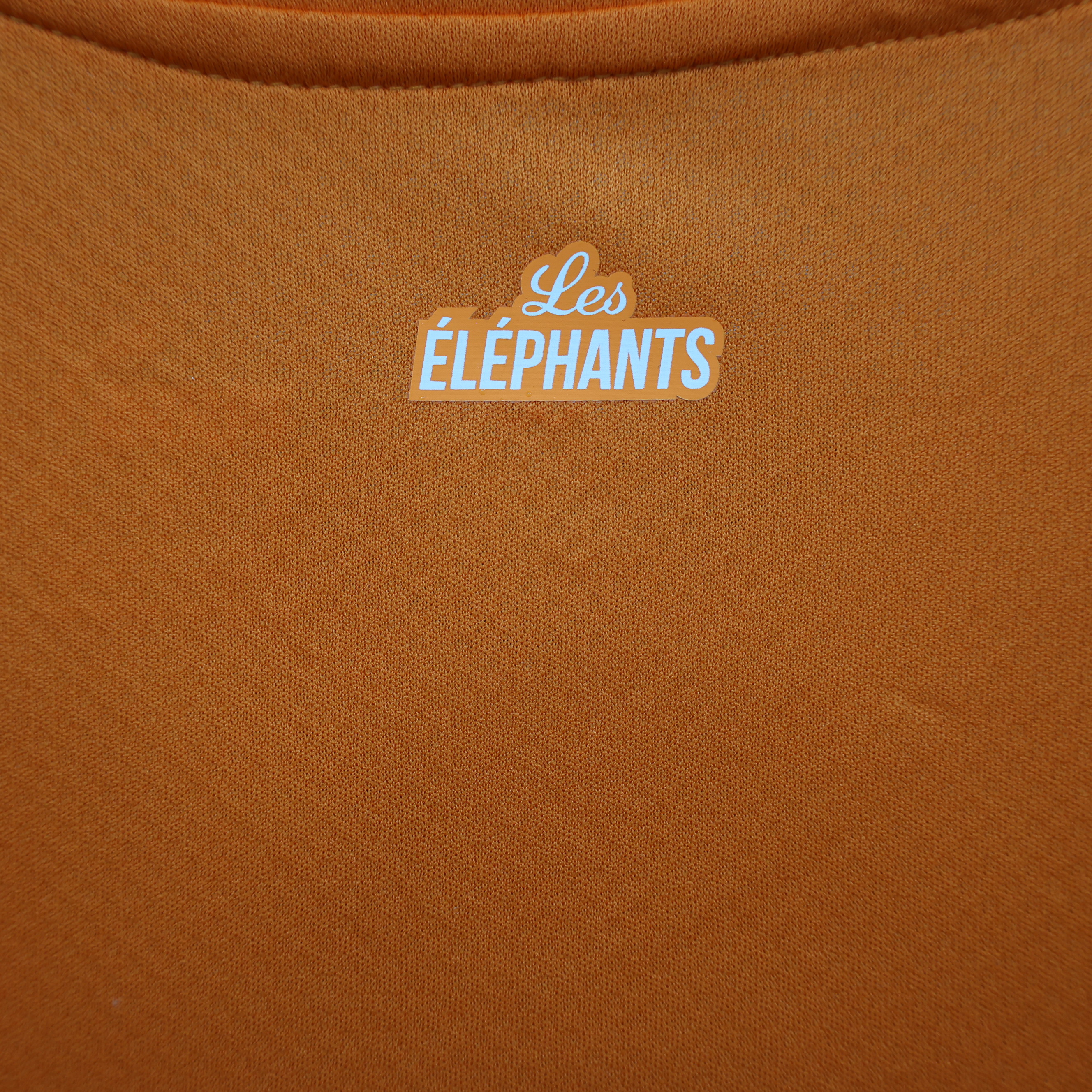 unitedfutballjersey-Cote d'Ivoire 22-23 Home Stadium Jersey - Fans Version