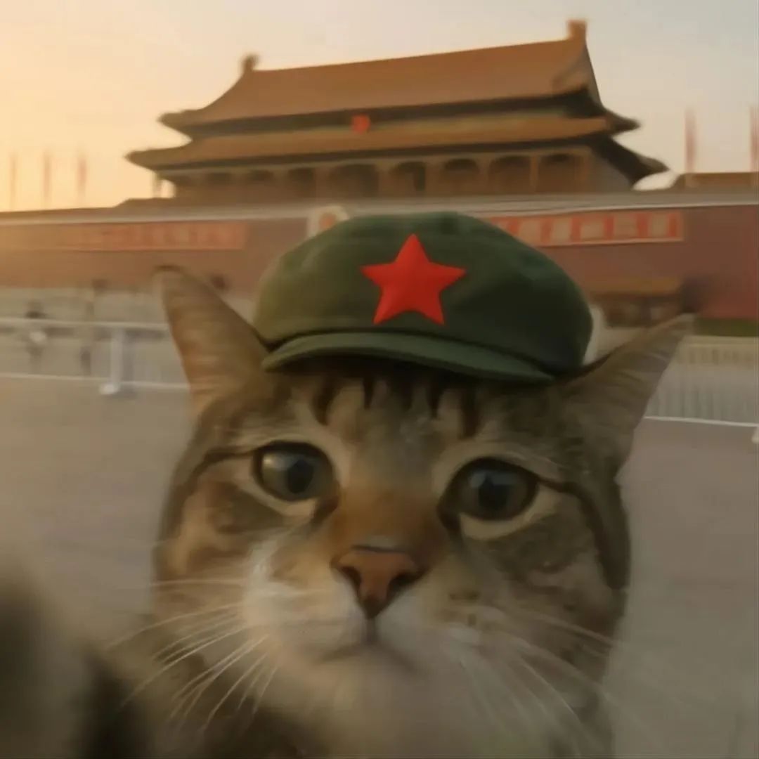 2Big and Tall Coconut Point Palm Vista IslandZone Camp Shirtenglish111