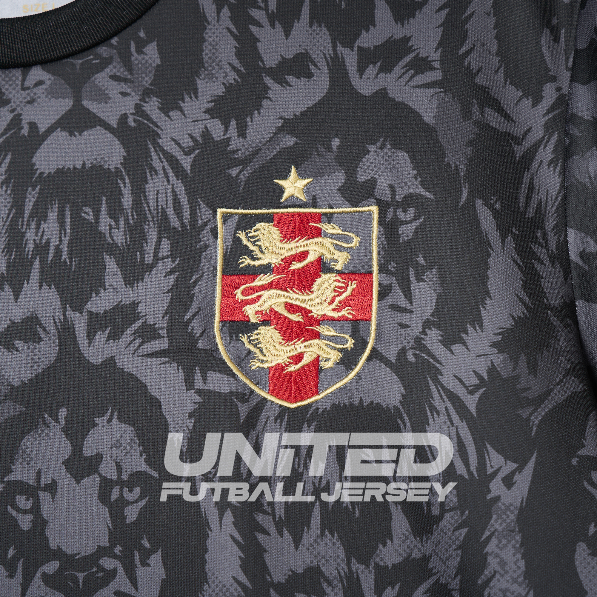 foot-England 2024 Black The Lions Special Edition Jersey - Fans Version