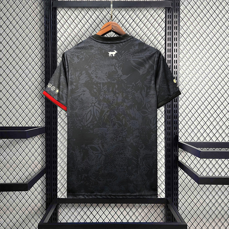 CR7 x Portugal 23-24 Special Edition Jersey - Fans Version:football jersey mysite: unitedjerseyfootball 邓江浪:football