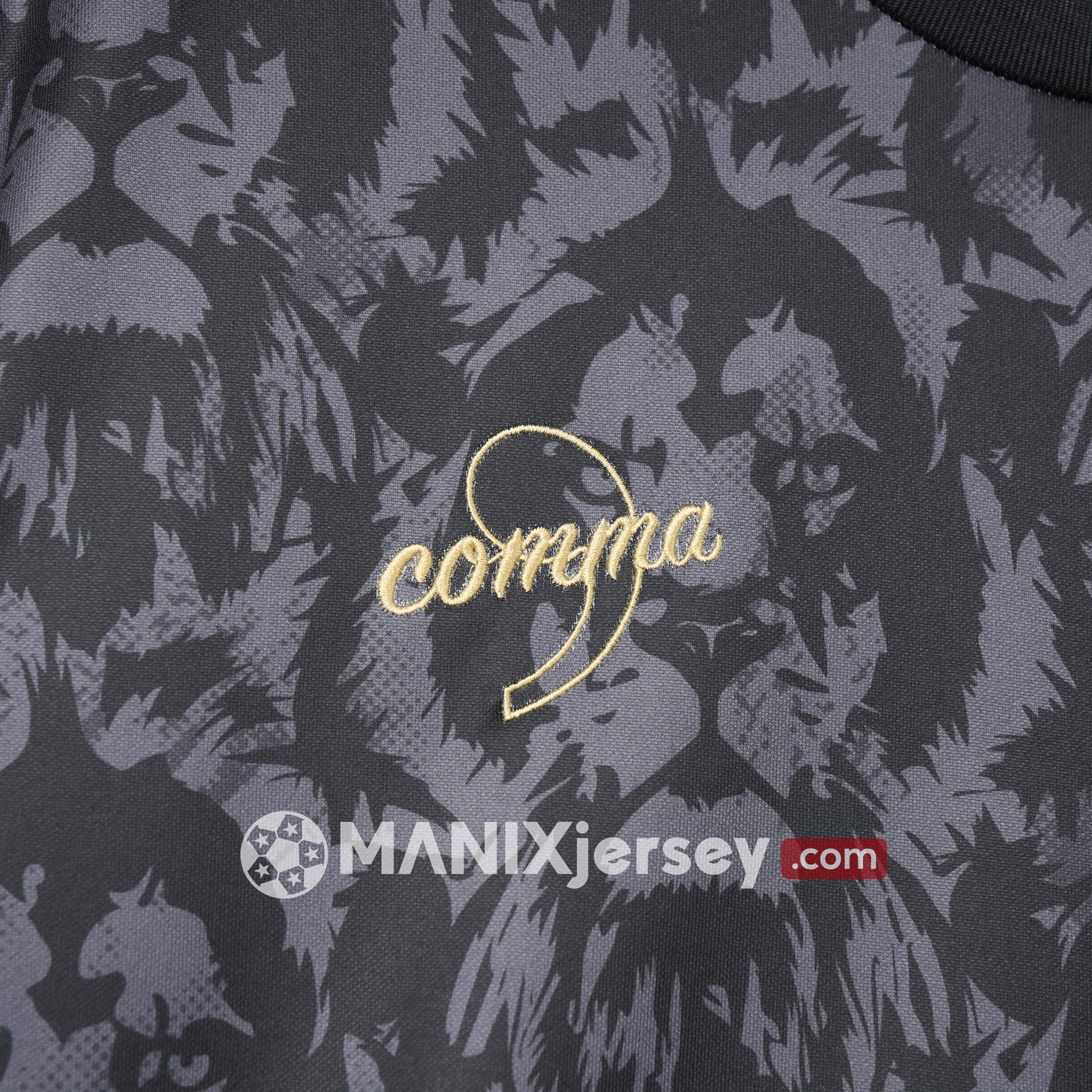 ManixJersey.com | England 2024 Black The Lions Special Edition Jersey - Fans Version -Customize Name, Number and Patch | Worldwide Shipping