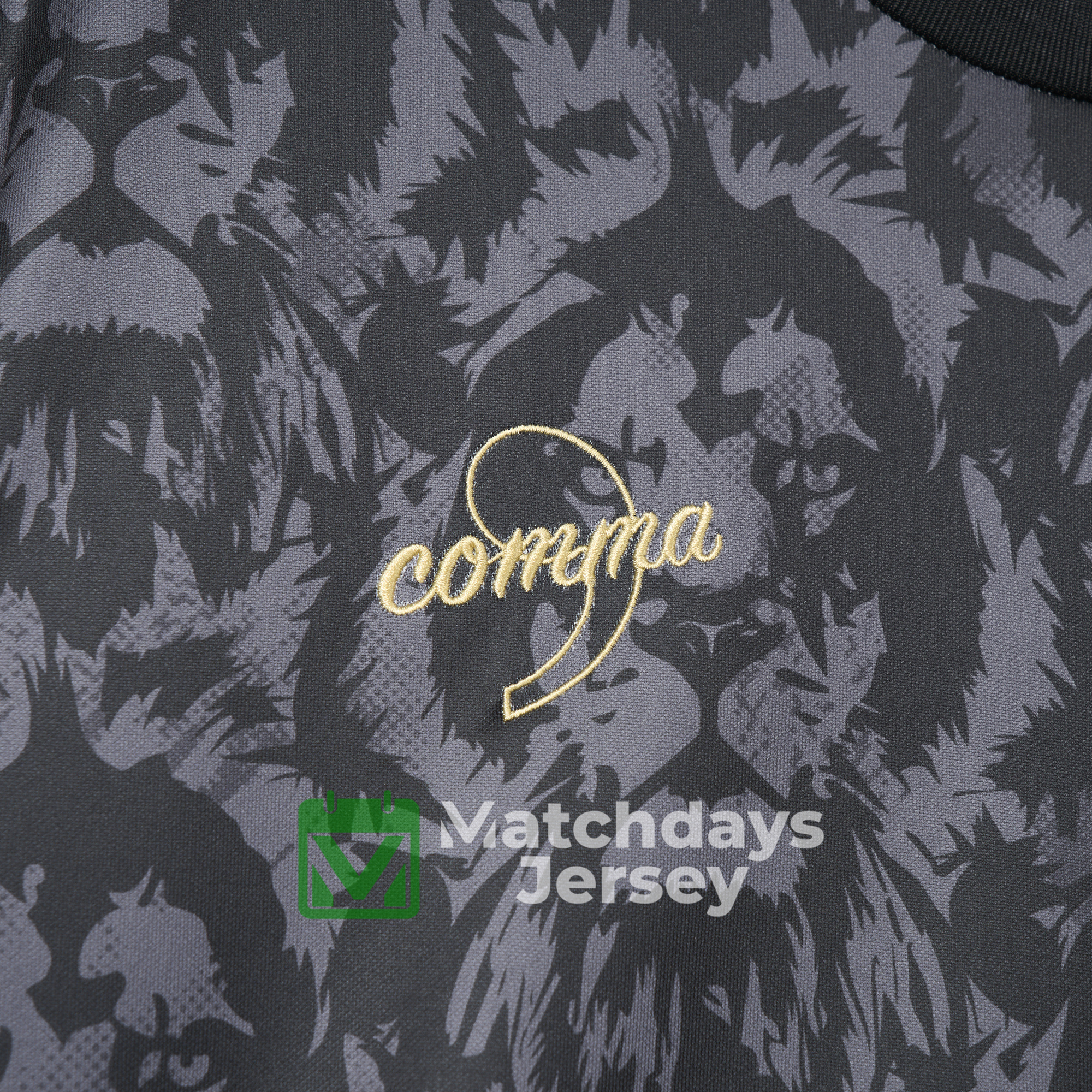 GlobeJersey-England 2024 Black The Lions Special Edition Jersey - Fans Version