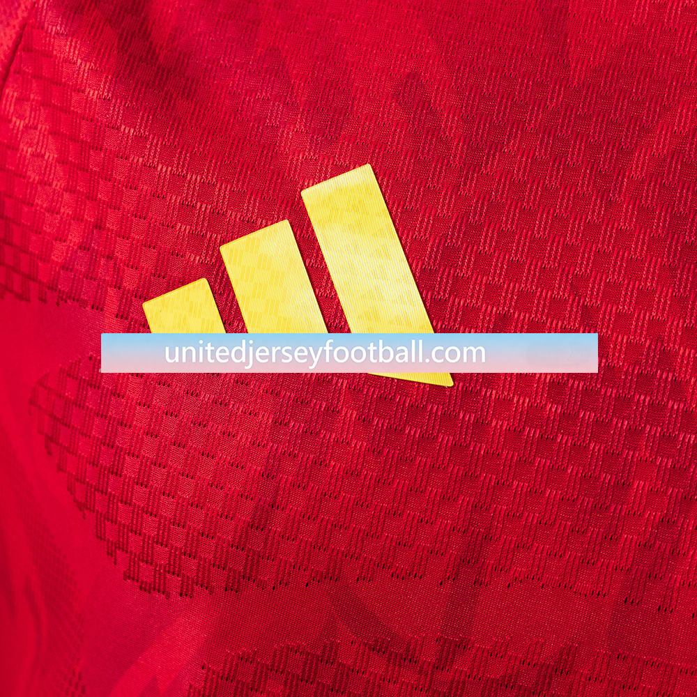 Belgium 2026 Home Stadium Jersey - Player Version:football jersey mysite: unitedjerseyfootball 邓江浪:football
