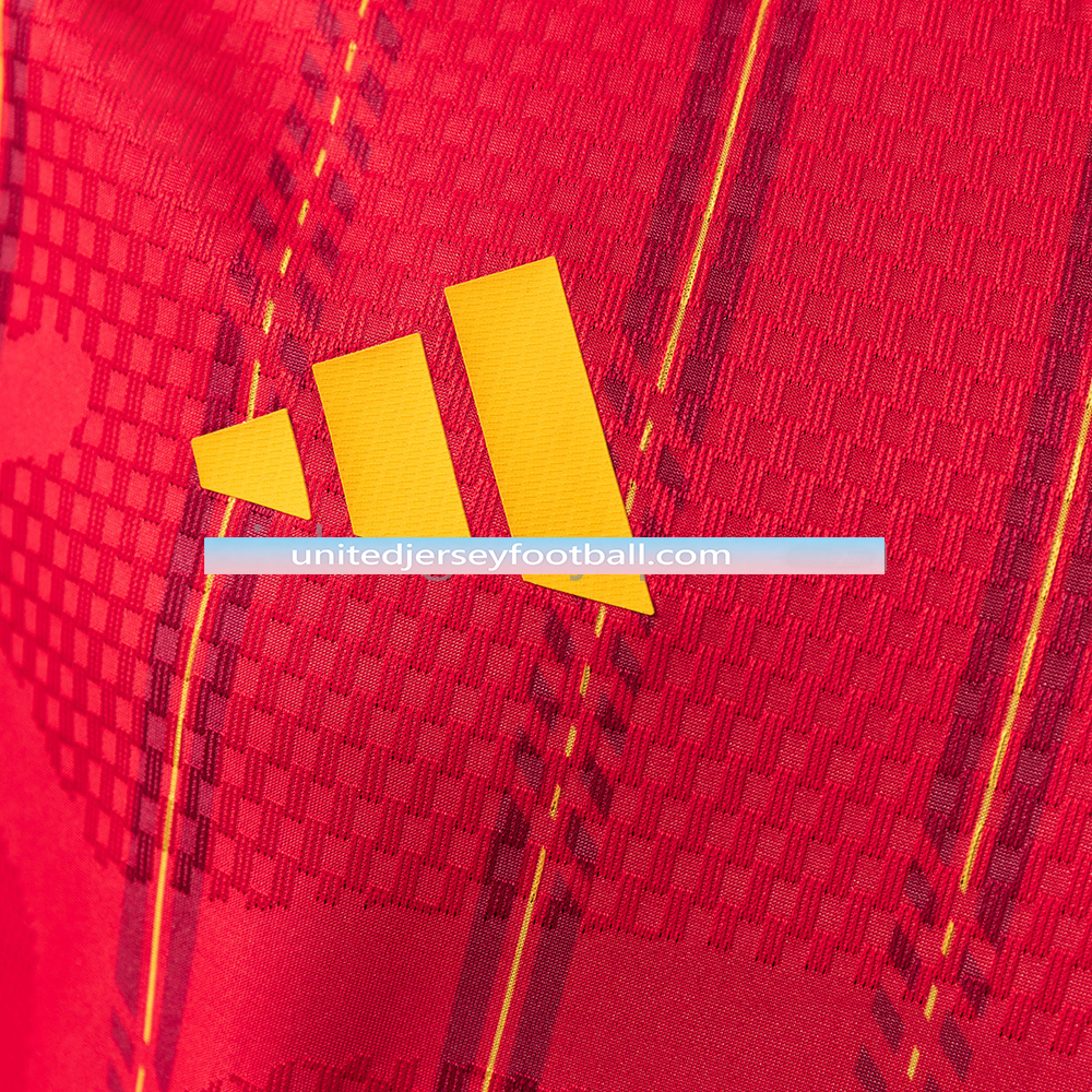 Spain 2026 Home Stadium Jersey - Player Version:football jersey mysite: unitedjerseyfootball 邓江浪:football