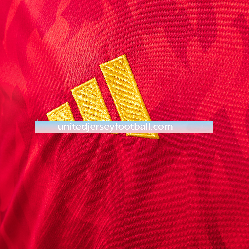 Belgium 2026 Home Stadium Jersey - Fans Version:football jersey mysite: unitedjerseyfootball 邓江浪:football
