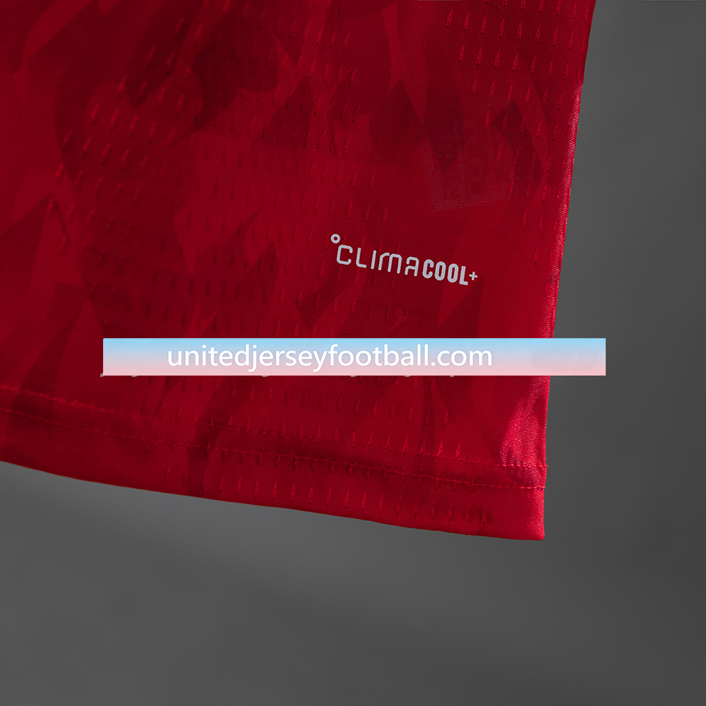 Belgium 2026 Home Stadium Jersey - Player Version:football jersey mysite: unitedjerseyfootball 邓江浪:football