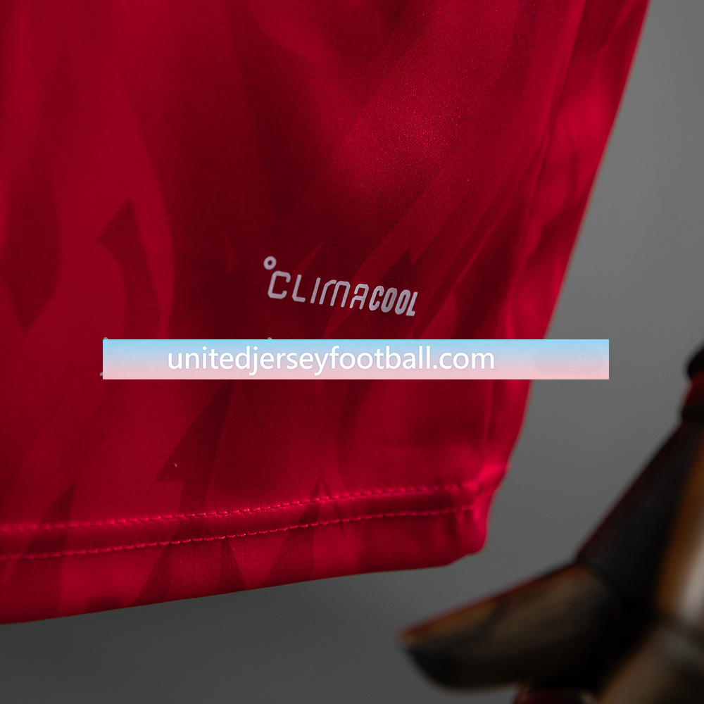 Belgium 2026 Home Stadium Long Sleeve Jersey - Player Version:football jersey mysite: unitedjerseyfootball 邓江浪:football