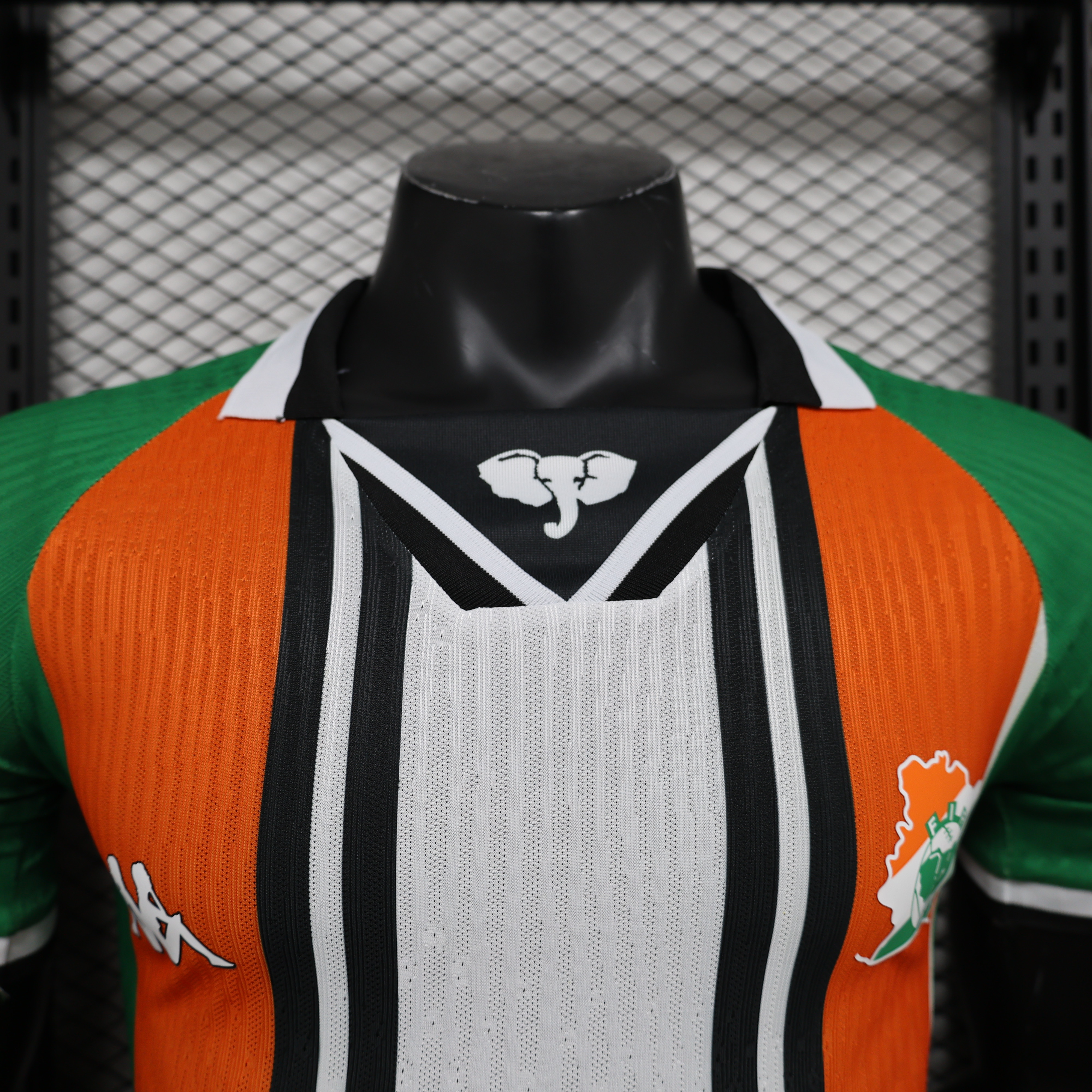 SIUjerseys-Cote d'Ivoire 2024 Special Edition Jersey - Player Version