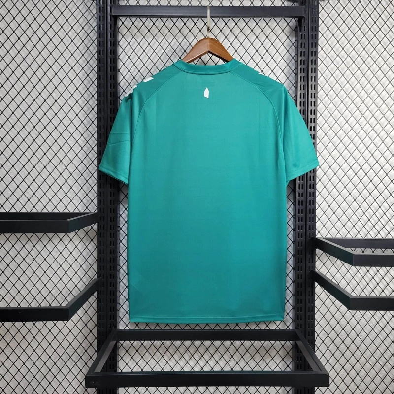 foot-Everton 24-25 Shamrock Pre-match Jersey - Fans Version