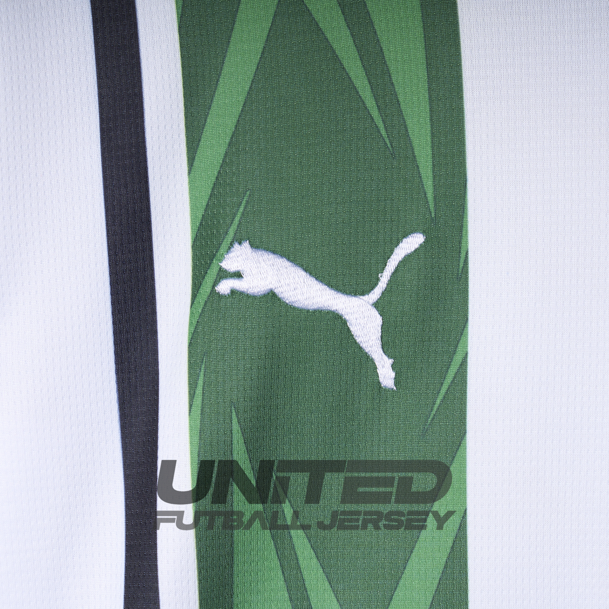 ManixJersey.com | Borussia Mönchengladbach 24-25 Home Stadium Jersey - Fans Version -Customize Name, Number and Patch | Worldwide Shipping