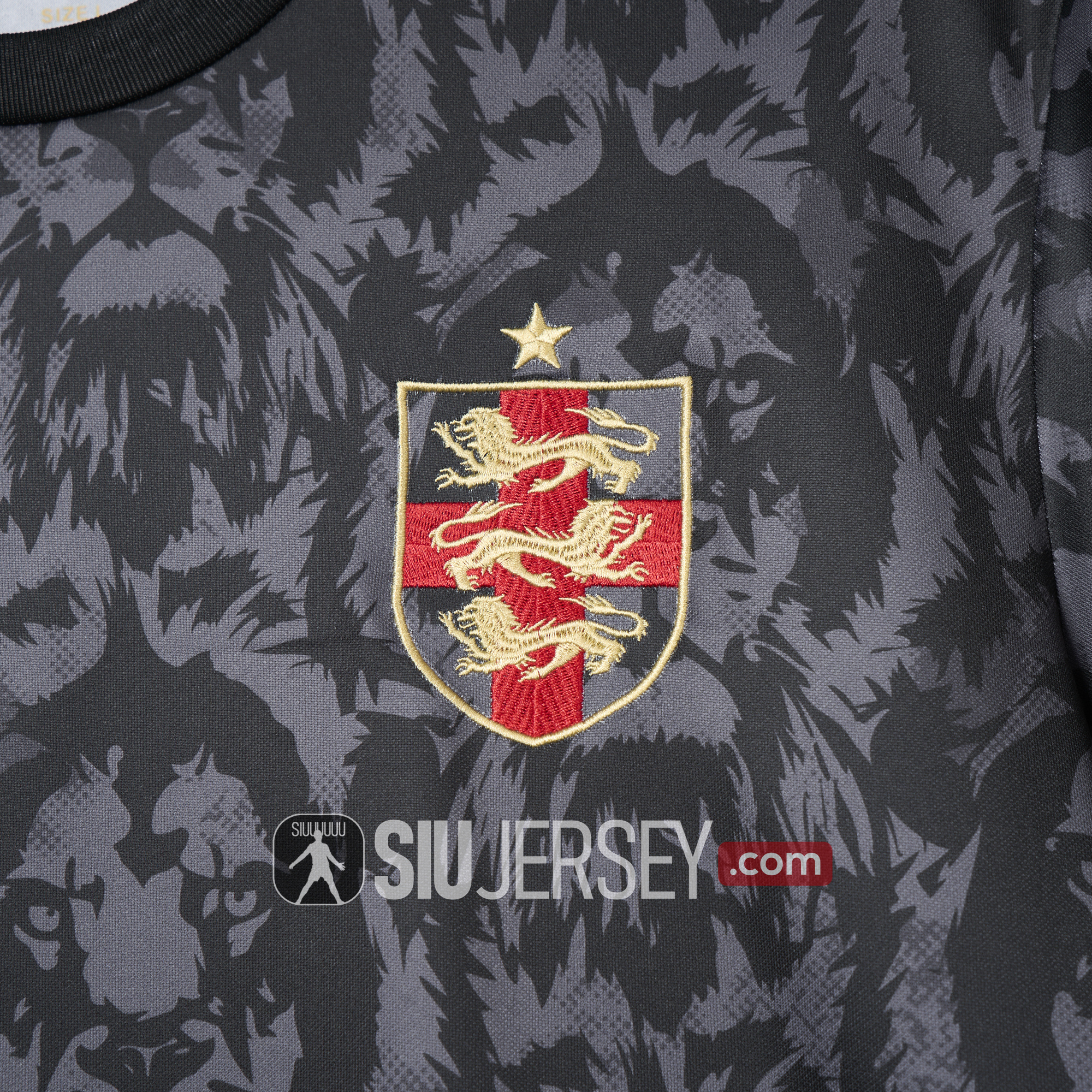 UltraTrikot-England 2024 Black The Lions Special Edition Jersey - Fans Version
