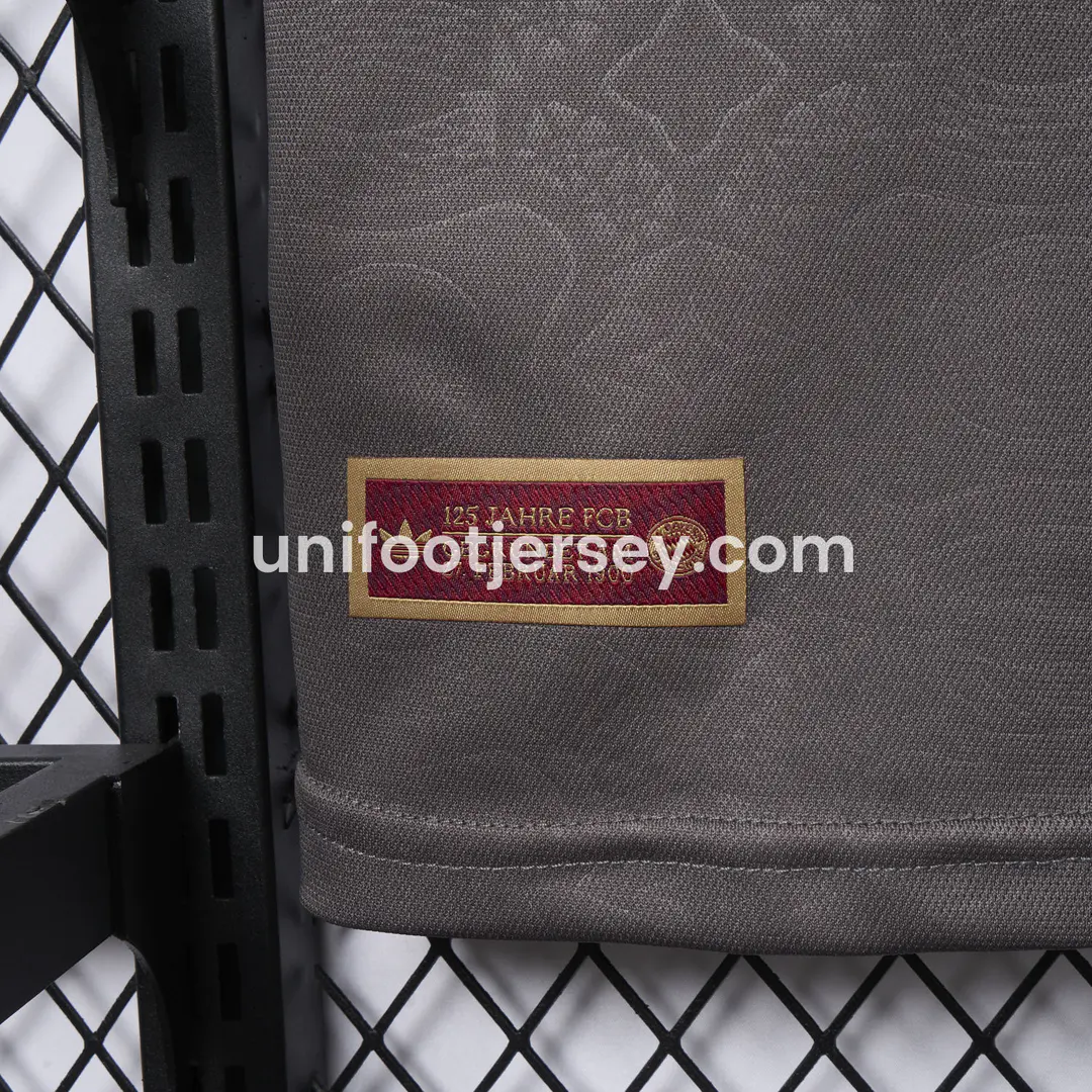 Bayern Munich 2025 Grey 125th Anniversary Jersey - Fans Version:football jersey mysite: unitedjerseyfootball 邓江浪:football