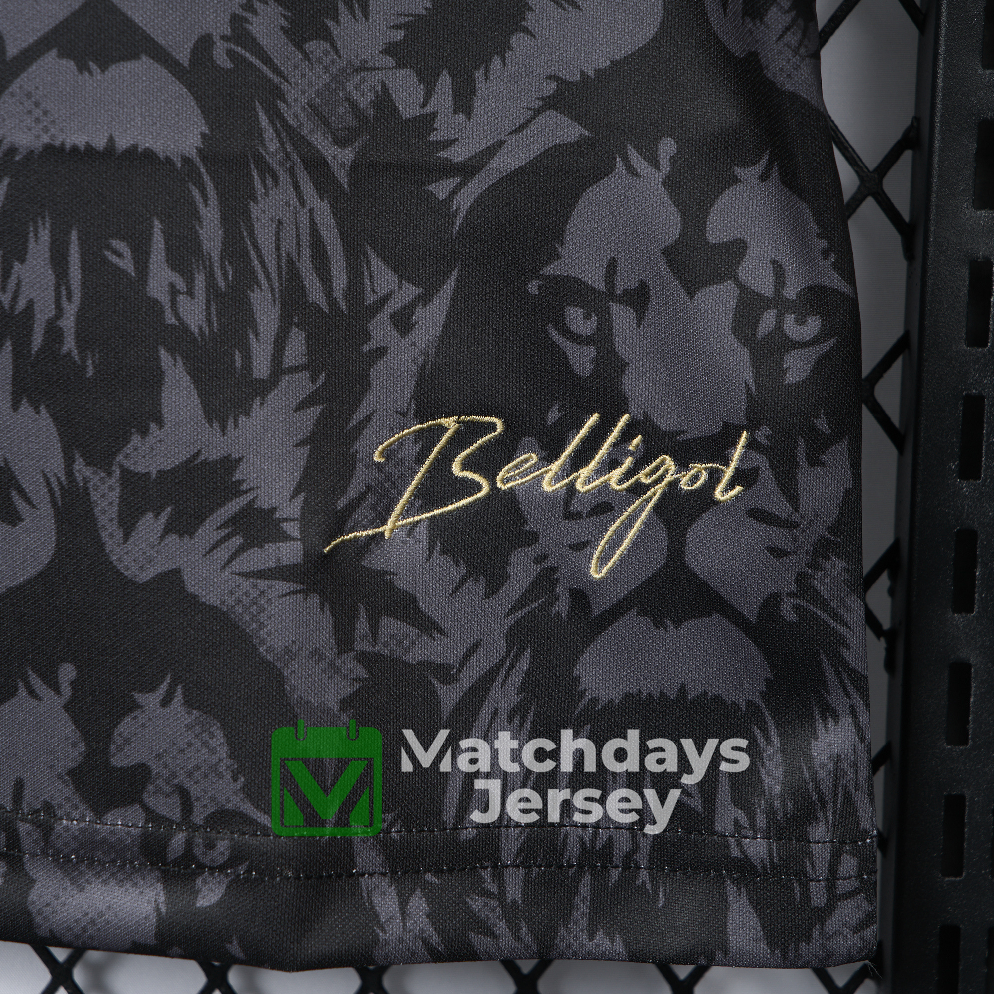 GlobeJersey-England 2024 Black The Lions Special Edition Jersey - Fans Version