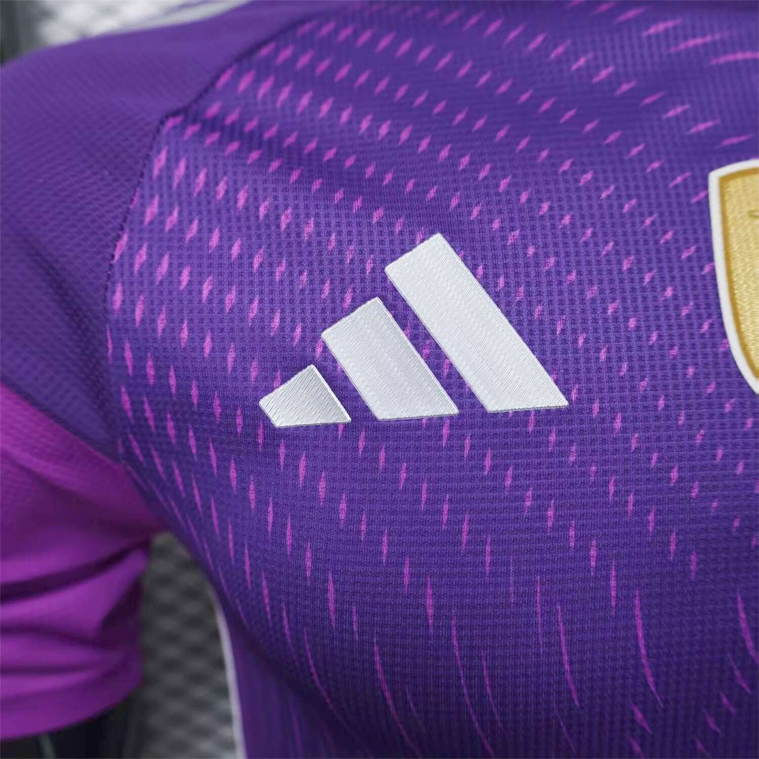 foot-Argentina 25-26 Purple Goalkeeper Jersey - Player Version