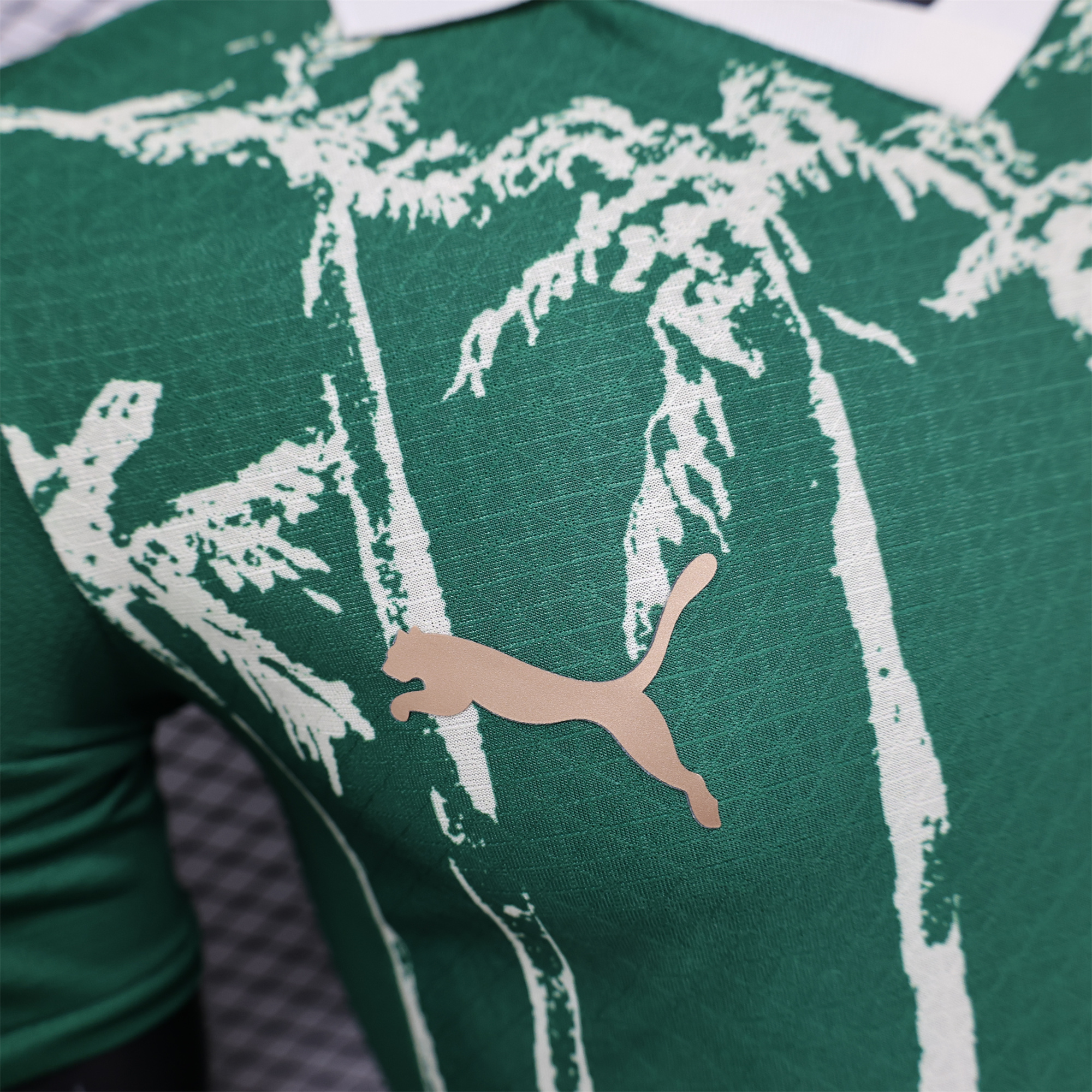 ManixJersey.com | Palmeiras 2025 Home (Informal-release Version) Jersey - Player Version -Customize Name, Number and Patch | Worldwide Shipping