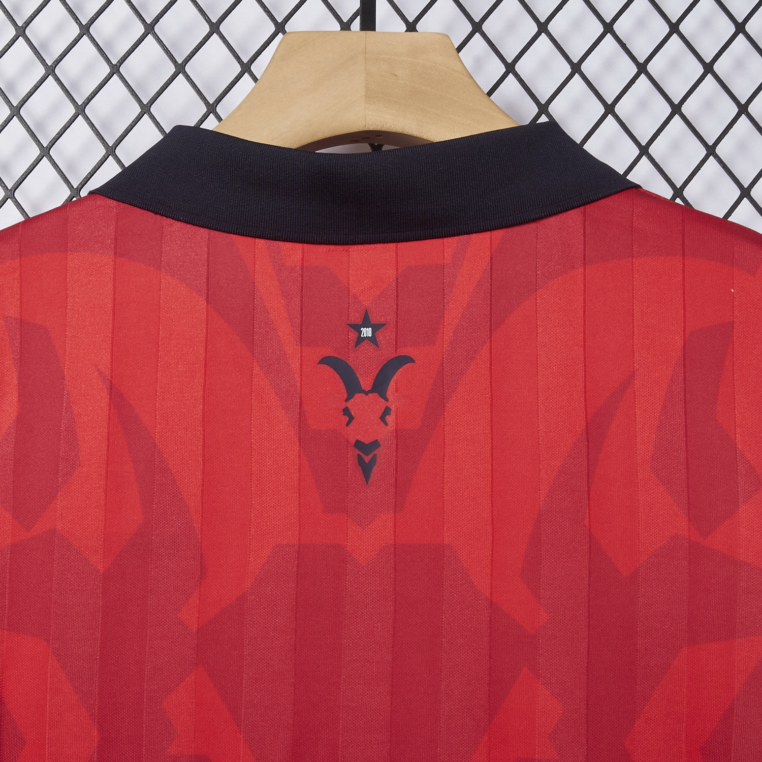 foot-Chivas de Guadalajara 25-26 Special Polo Jersey - Fans Version