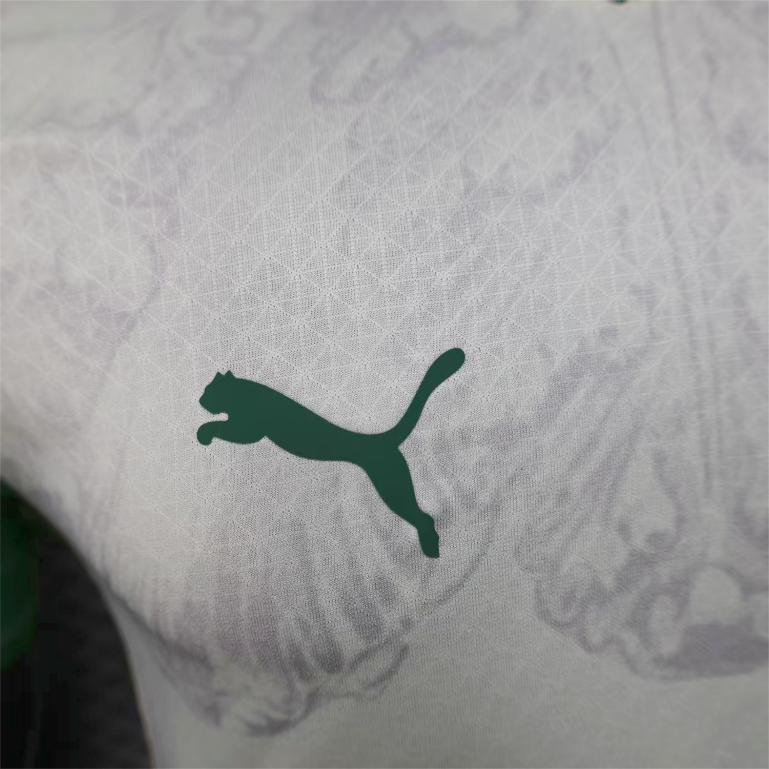 foot-Palmeiras 25-26 Club World Cup Away Jersey - Player Version