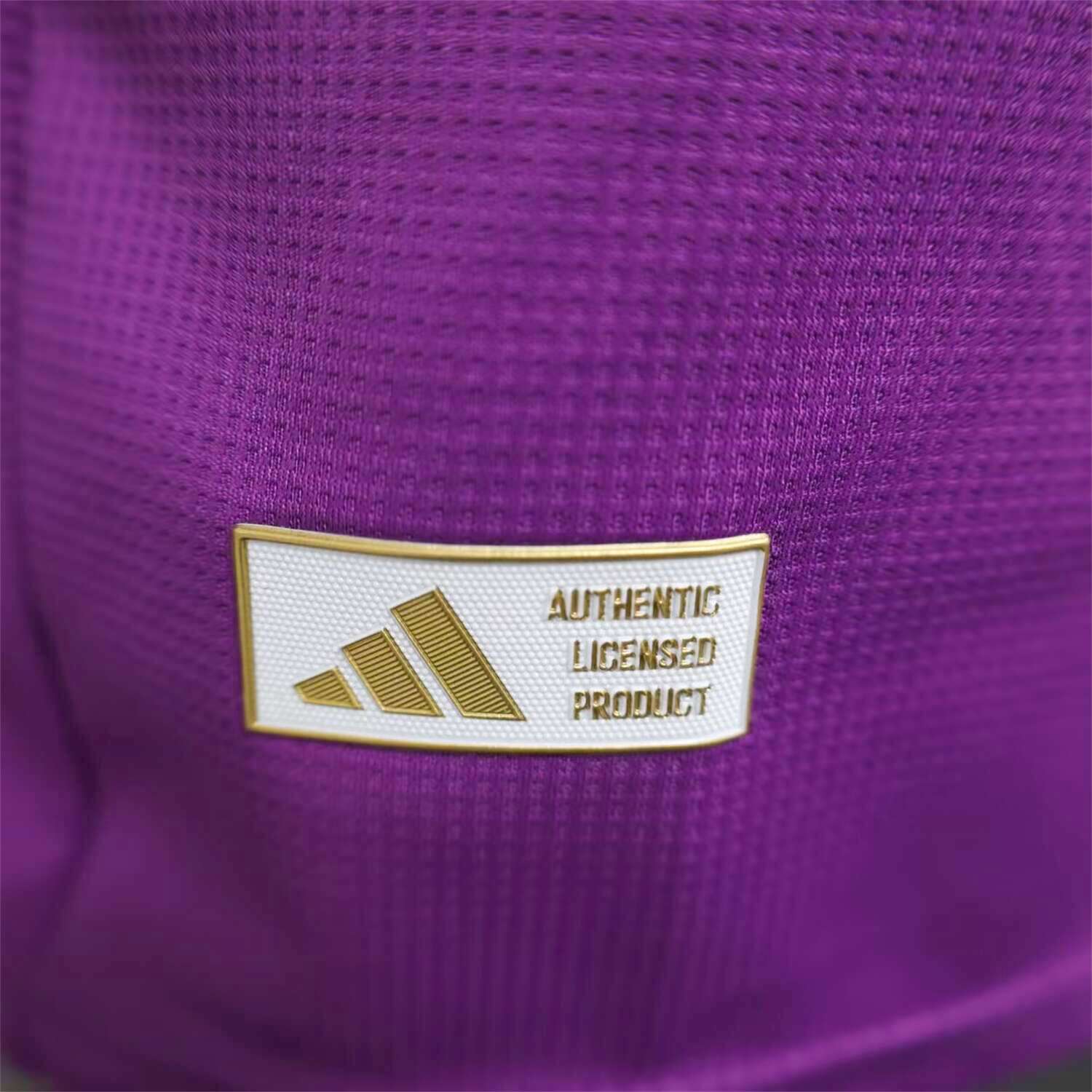 foot-Argentina 25-26 Purple Goalkeeper Jersey - Player Version