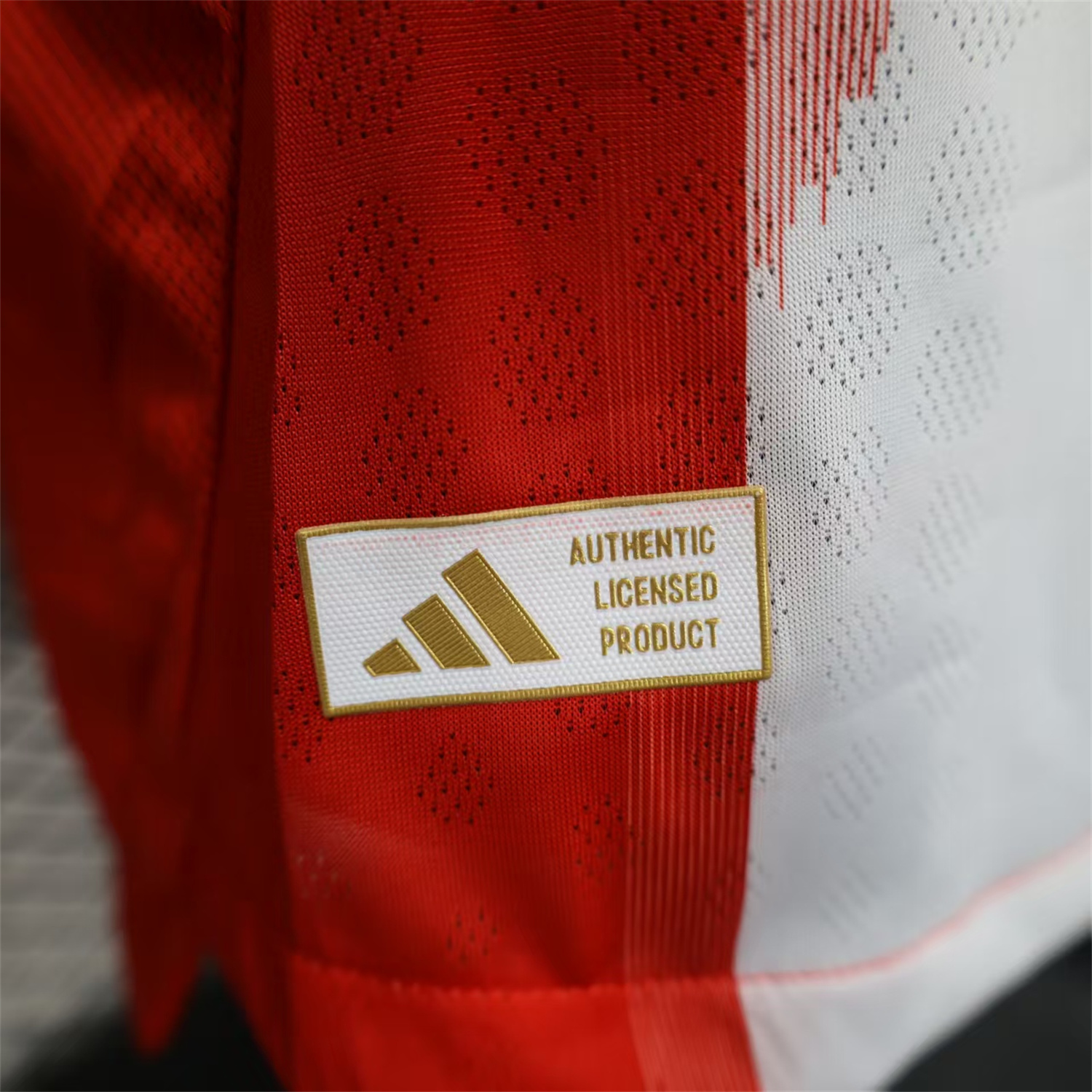 foot-Bayern Munich 25-26 Home Long Sleeves Jersey - Player Version