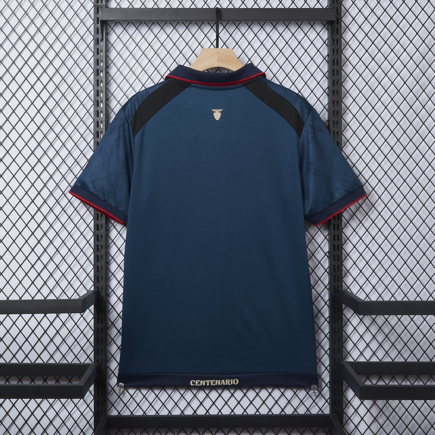 foot-Ecuador 2025 Centenary Away Jersey - Fans Version