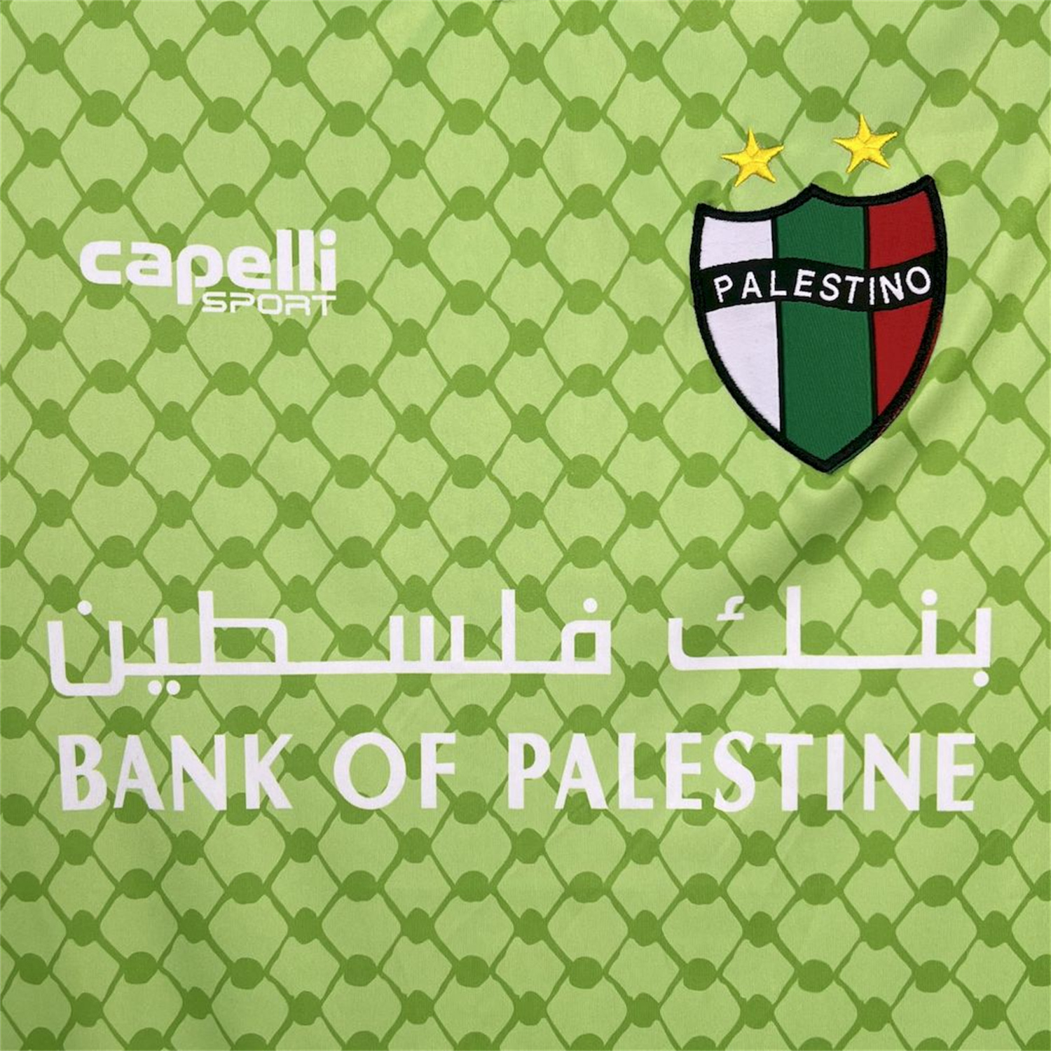 foot-Club Deportivo Palestino 25-26 Green Goalkeeper Jersey - Fans Version