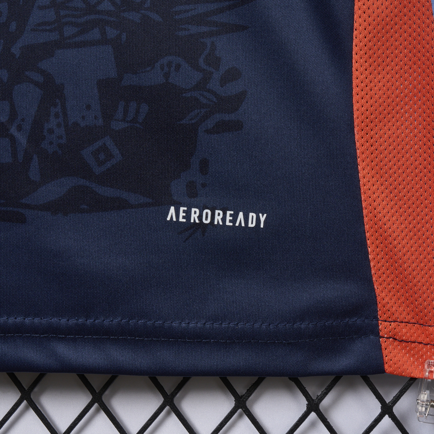 foot-Hamburger SV 24-25 World Girls' Day Blue Special Jersey - Fans Version