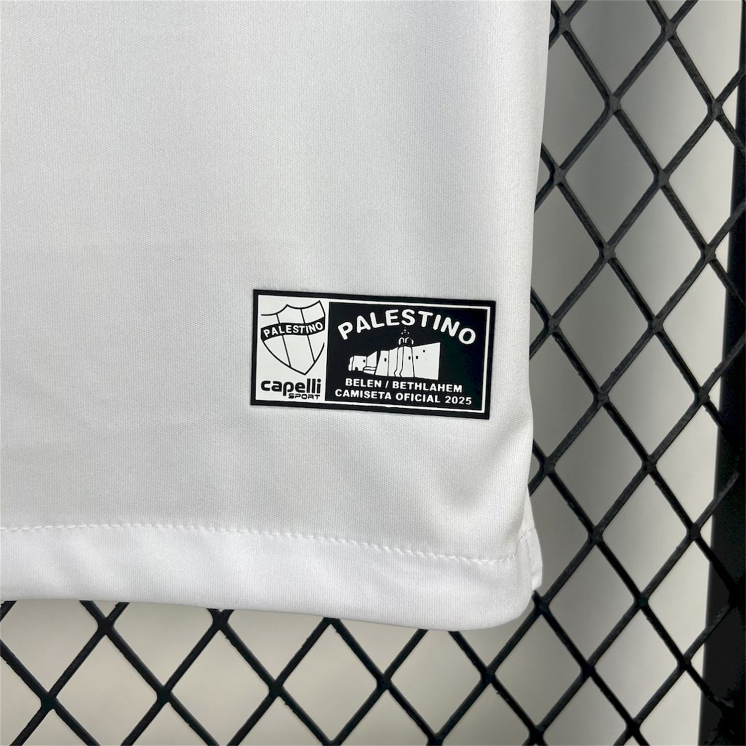 foot-Club Deportivo Palestino 25-26 Home Jersey - Fans Version