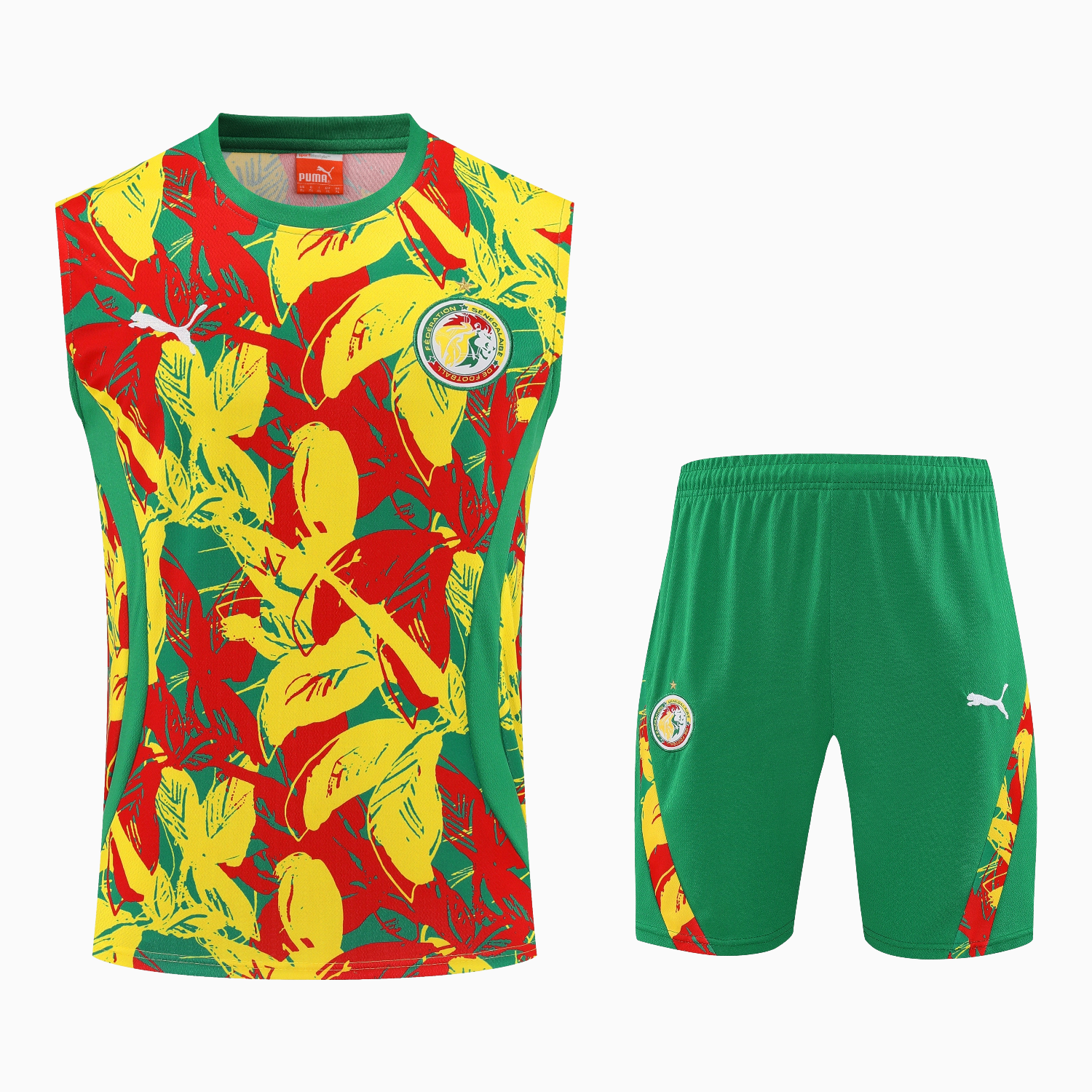 Unitedfootballkit.com | Senegal 2026 Vest Training Set - Variegated Vest and Green Shorts -Customize Name, Number and Patch | Worldwide Shipping