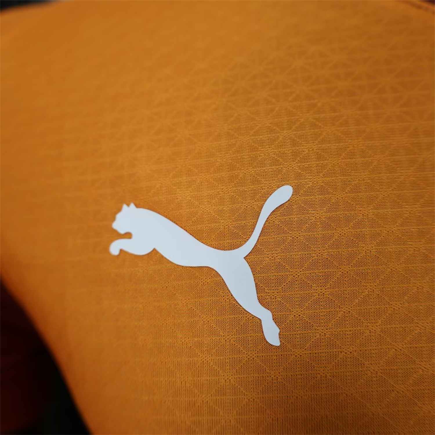 foot-Galatasaray 25-26 Home Jersey With Five Stars - Player Version