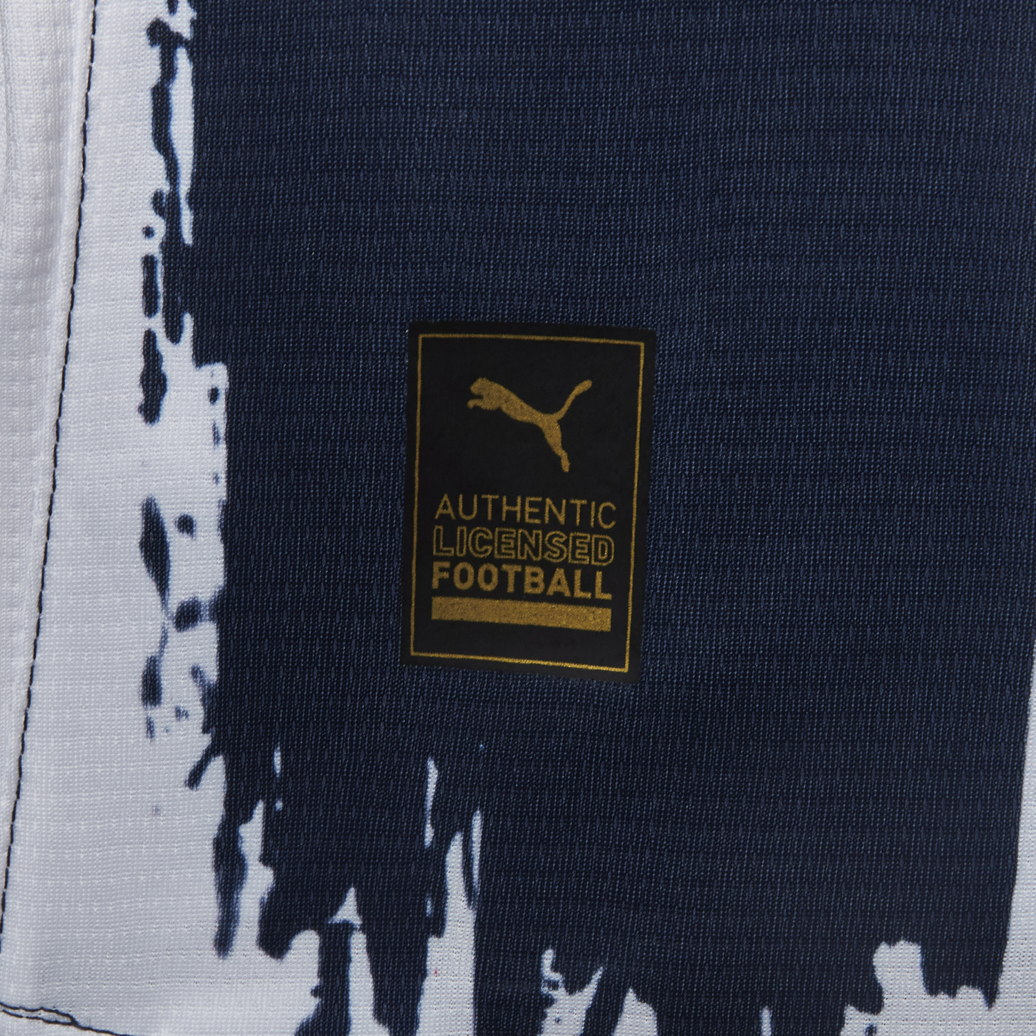 foot-Rayados Monterrey 25-26 Home Stripes Jersey - Fans Version