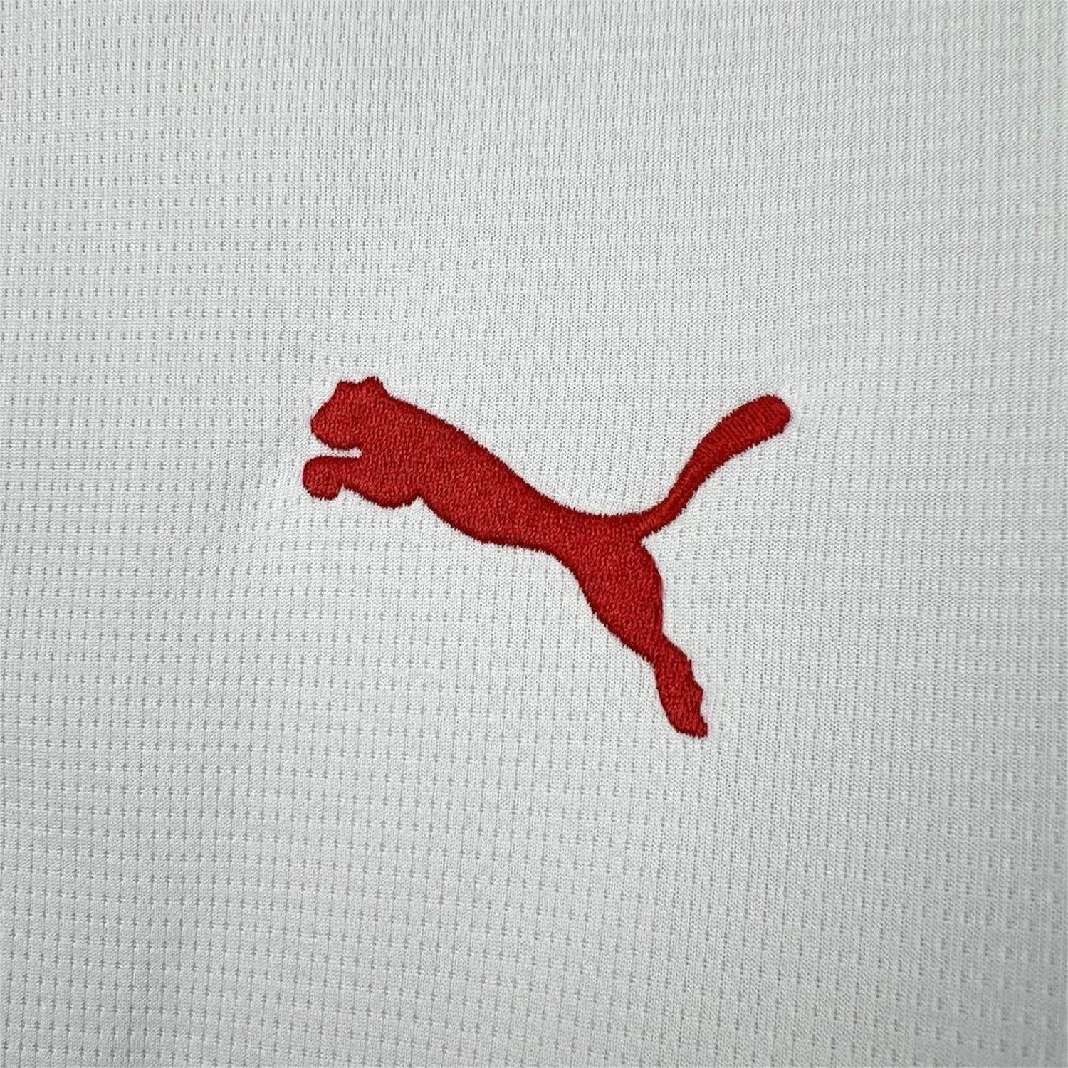 unitedfutballjersey-Portugal 2026 White And Green Special Jersey - Fans Version