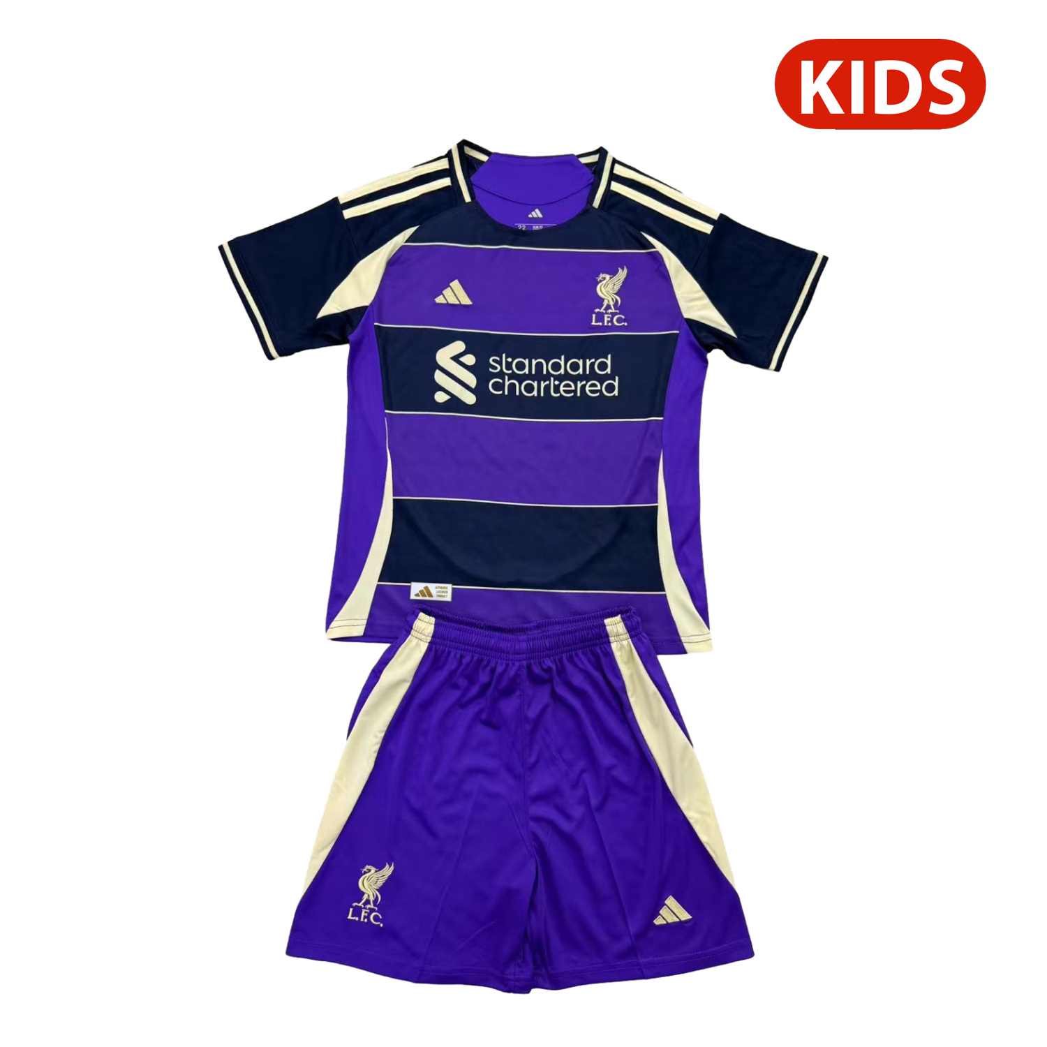 foot-Liver.pool 25-26 Purple Dark Blue Horizontal Stripes Concept Kids Kit