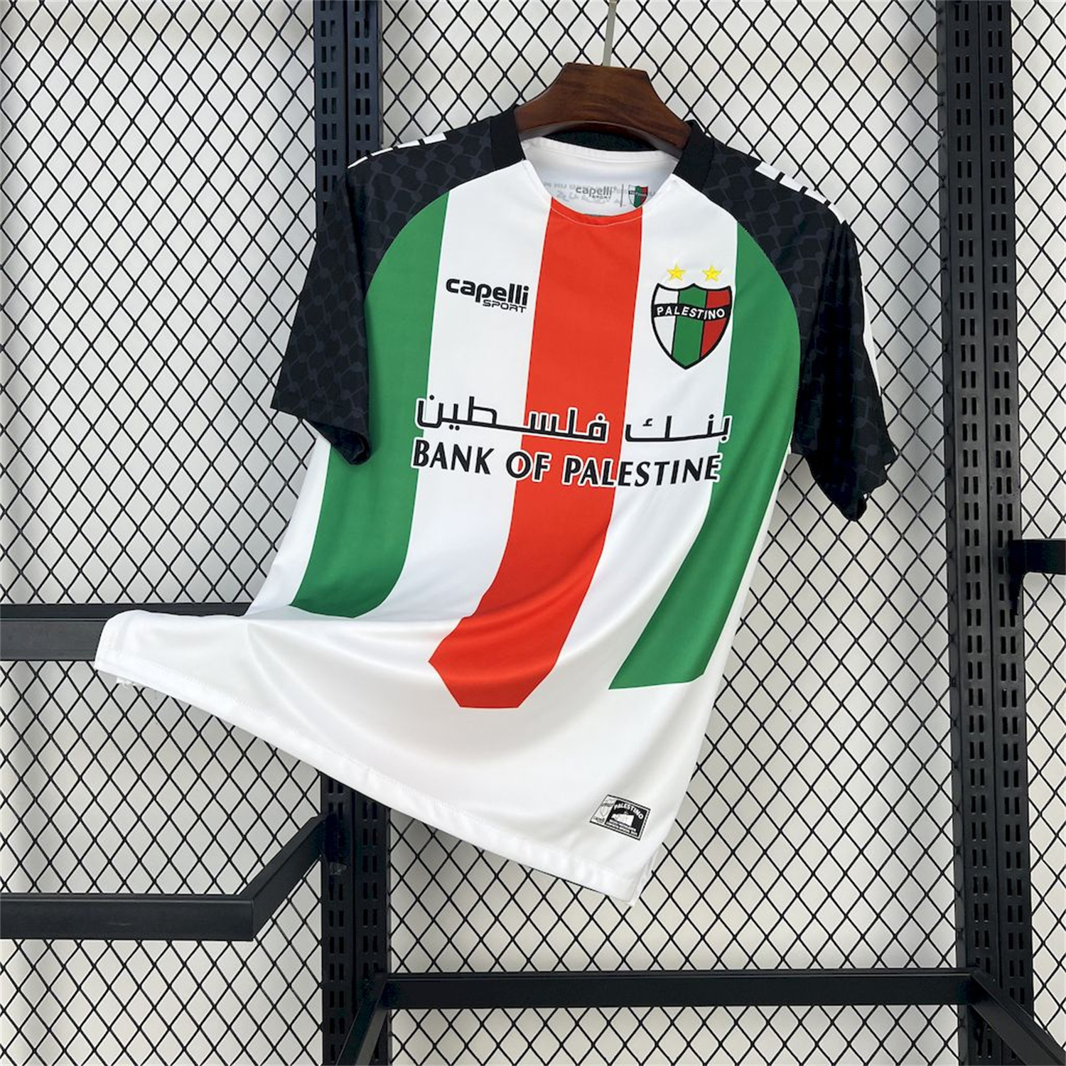 foot-Club Deportivo Palestino 25-26 Home Jersey - Fans Version