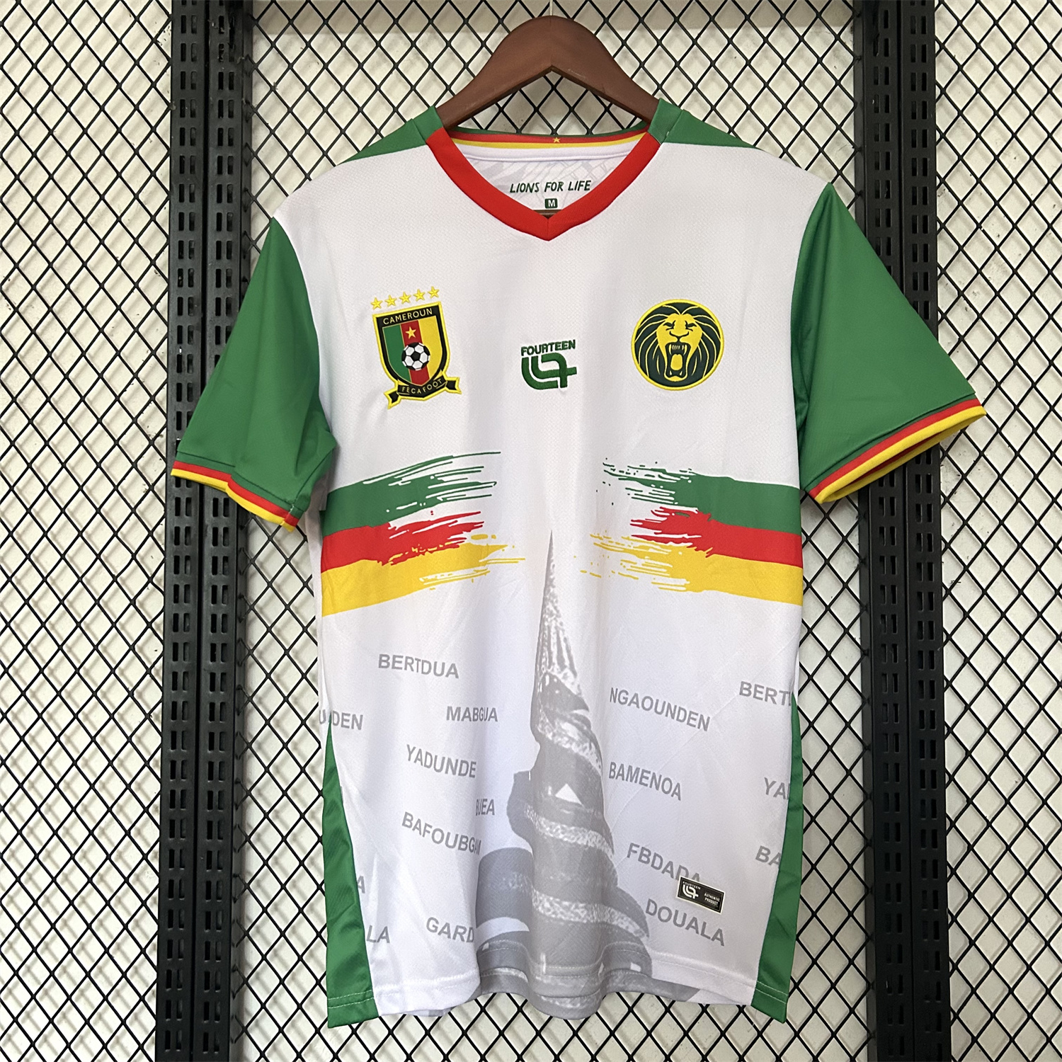 foot-Cameroon 25-26 Third Jersey - Fans Version