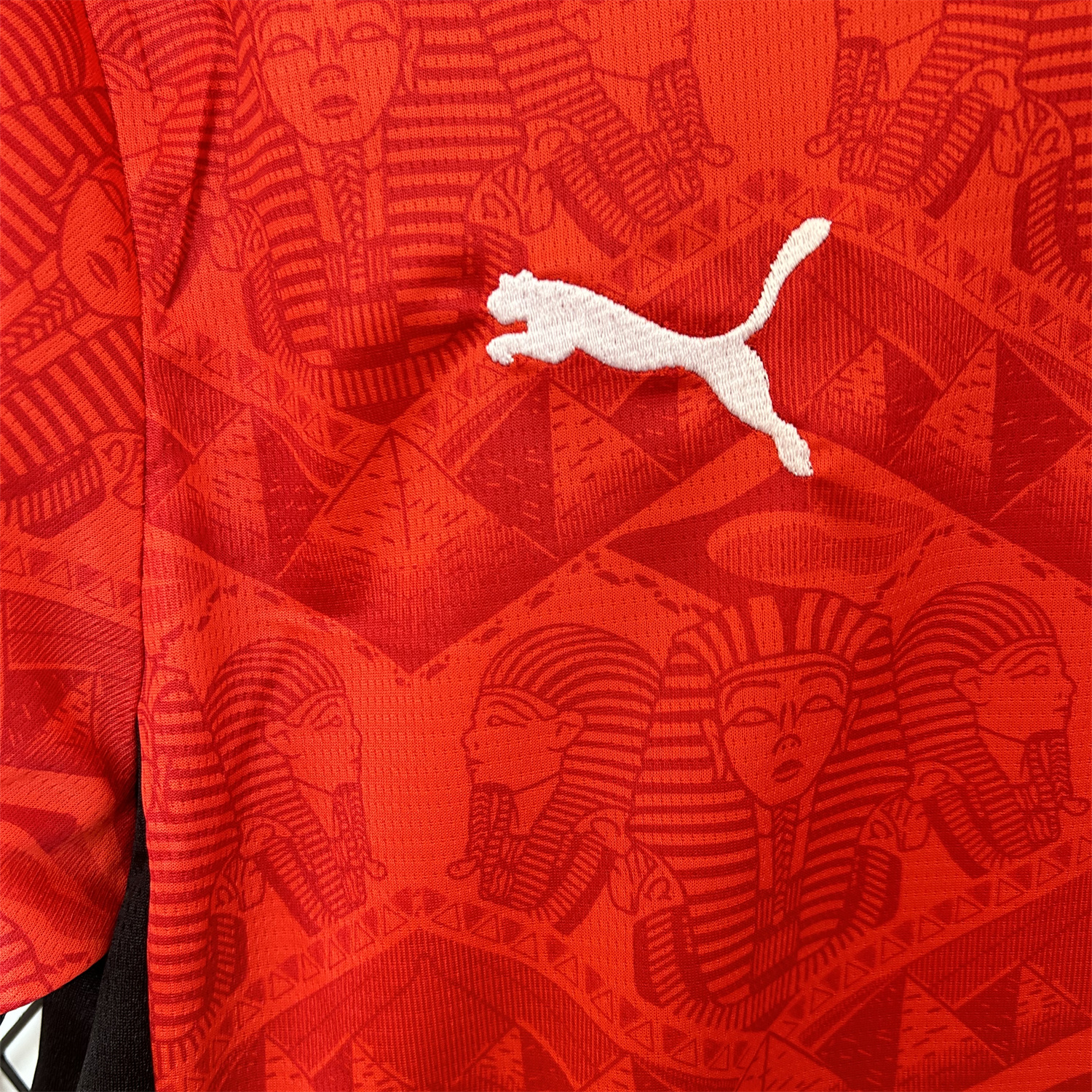 foot-Egypt 25-26 Home Jersey - Fans Version