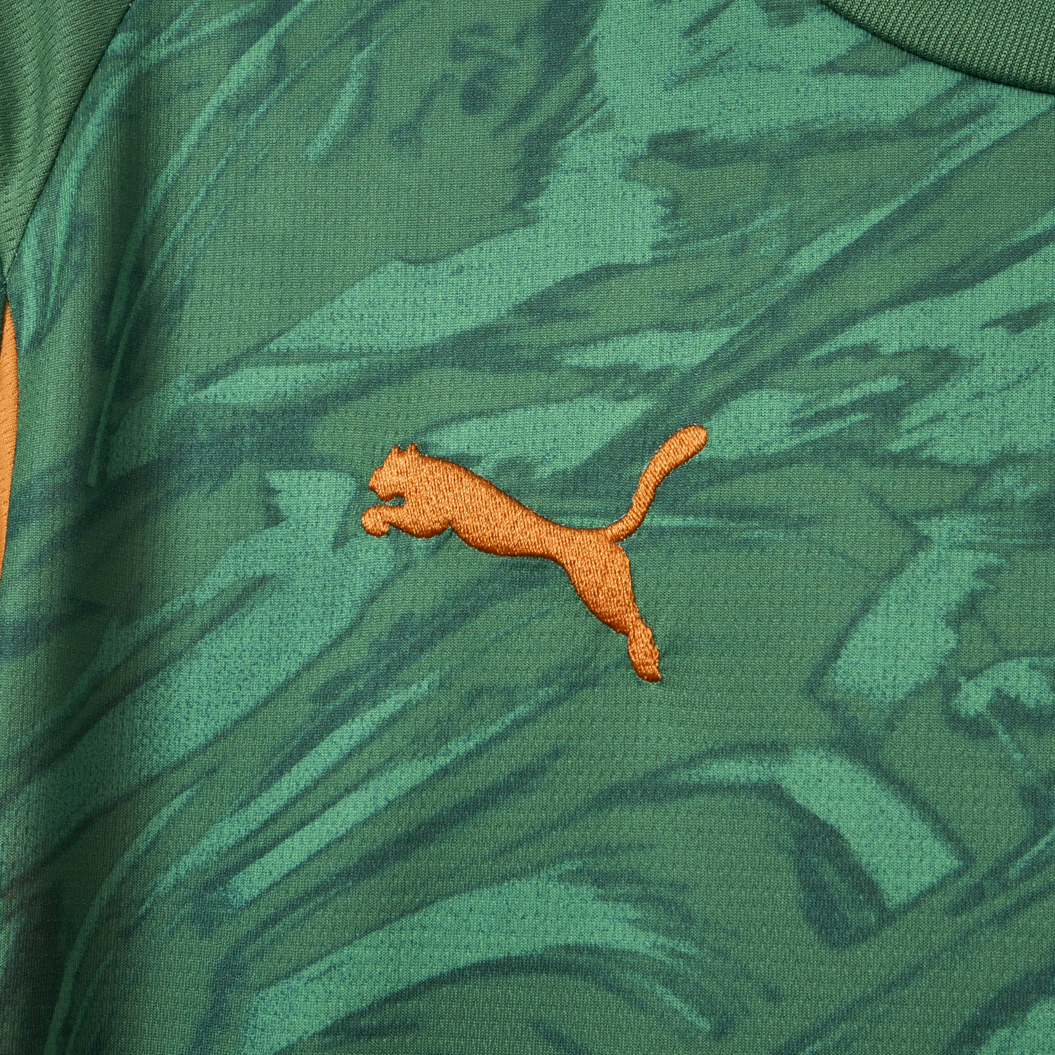 foot-Dortmund 25-26 Green Goalkeeper Unsponsored Jersey - Fans Version