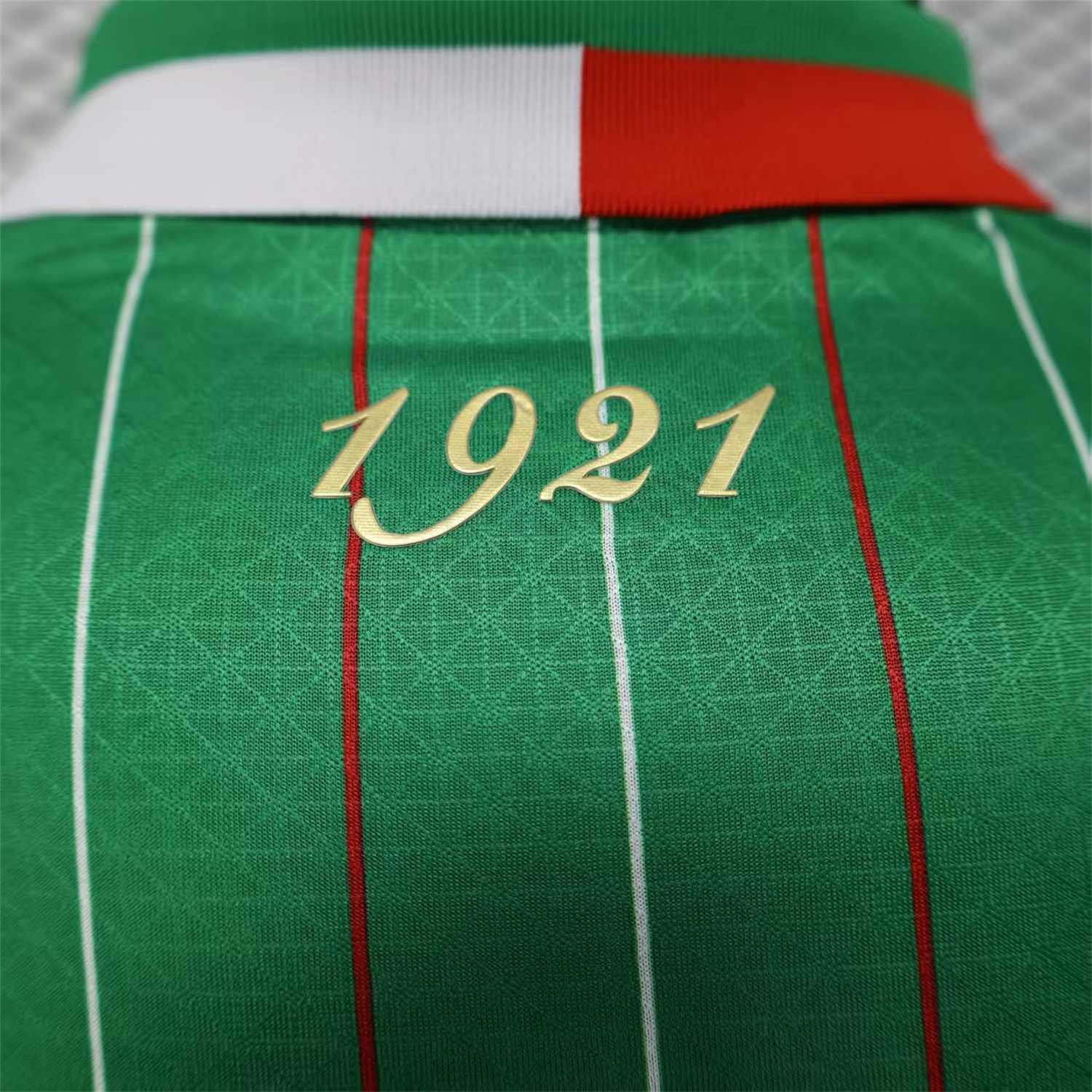 foot-Club Deportivo Palestino Palestine 25-26 Green Special Jersey - Player Version