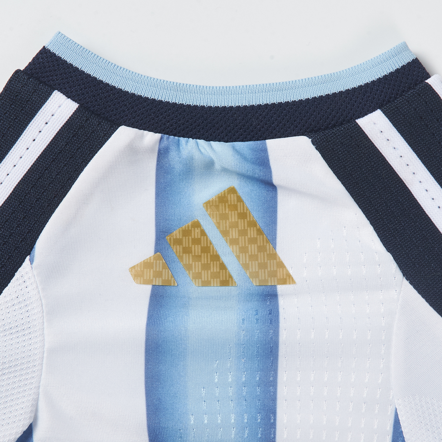 GlobeJersey-Argentina 2026 Home Pet Jersey - Player Version