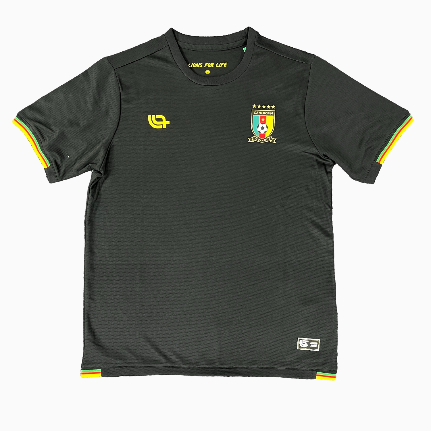 foot-Cameroon 25-26 Black Training Jersey - Fans Version