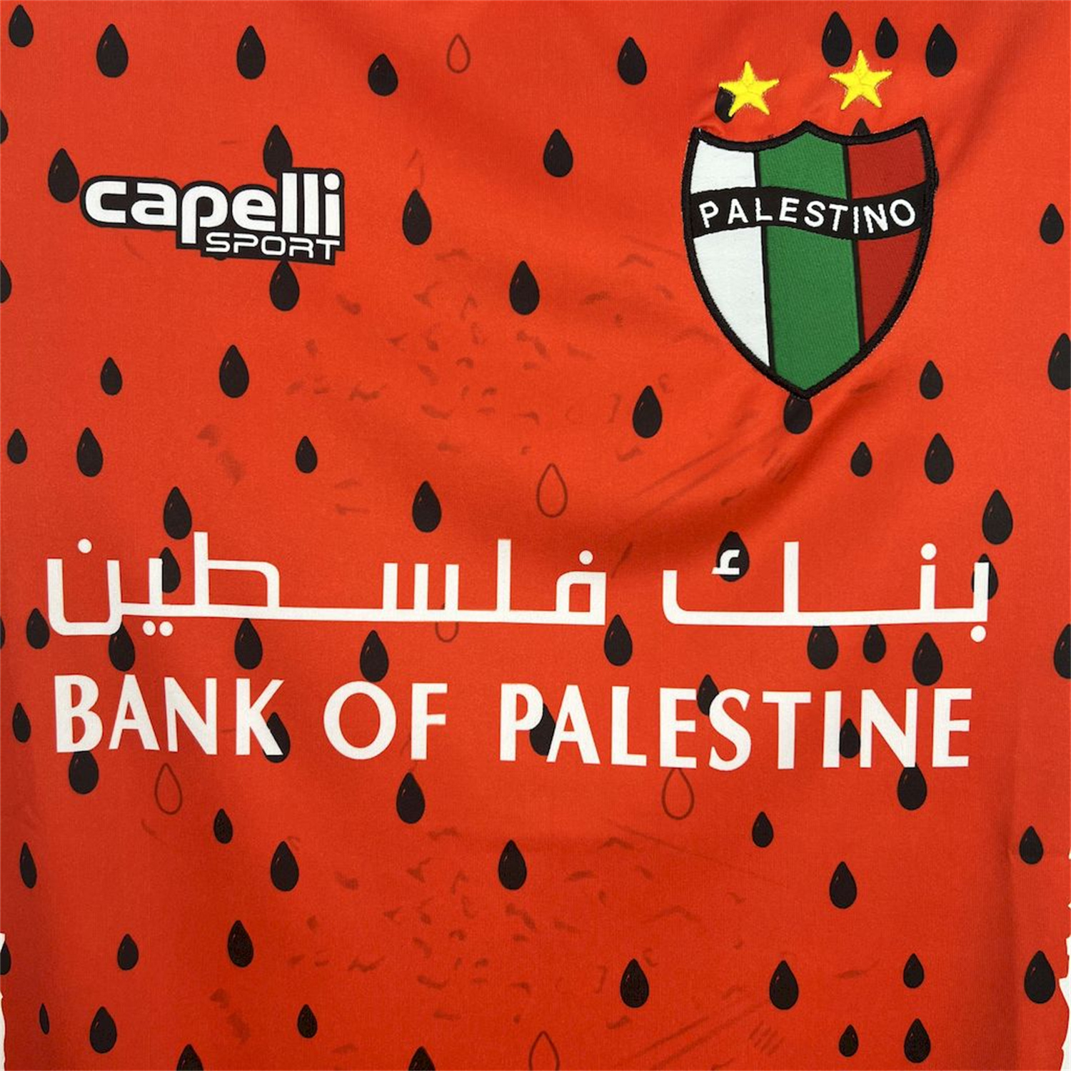 foot-Club Deportivo Palestino 25-26 Third Jersey - Fans Version